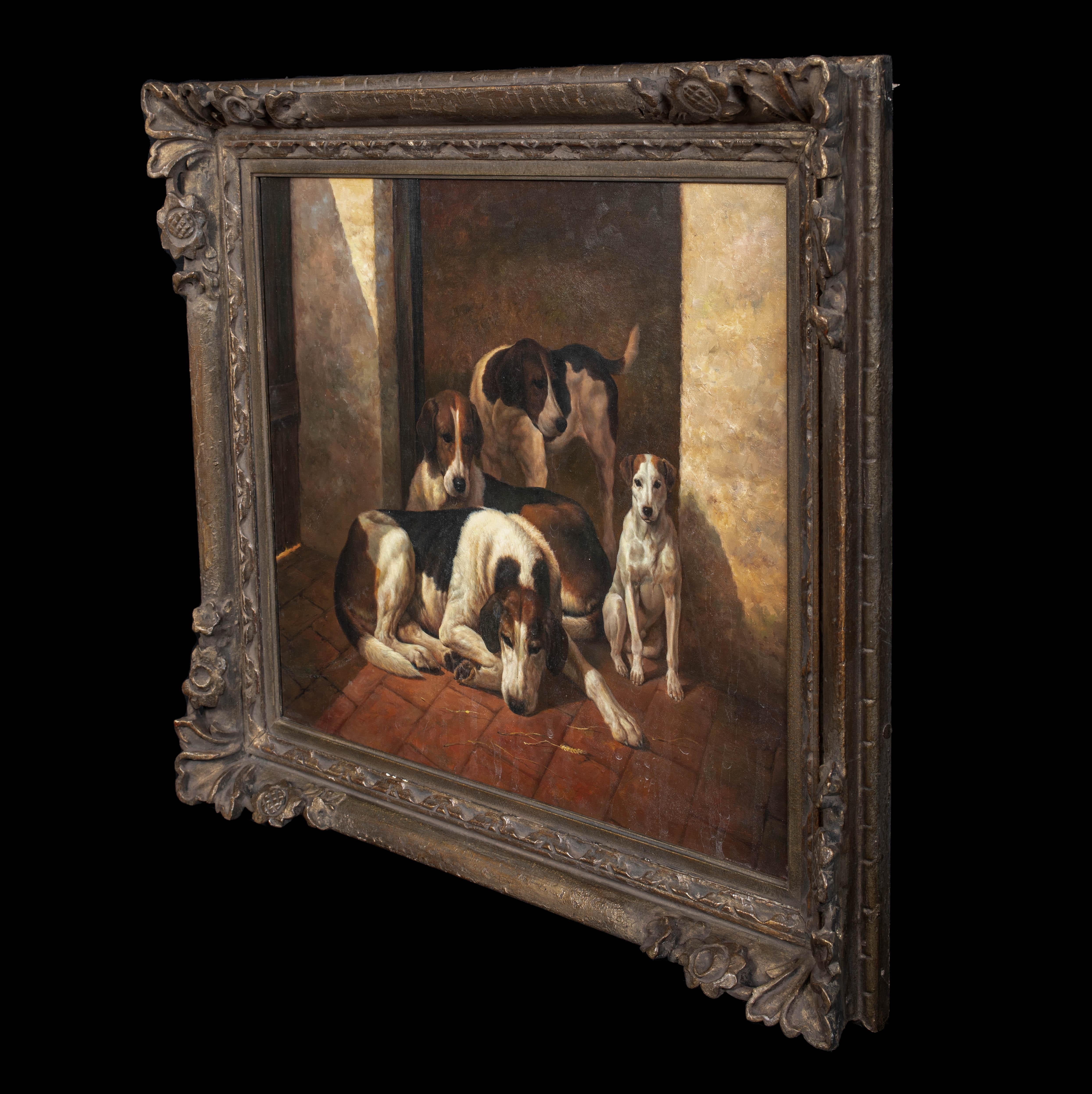 Les chiens renards de la New Forest, vers 1900  Attribué à JOHN EMMS (1843-1812) 6