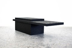 John Eric Byers, "T2", Mesa