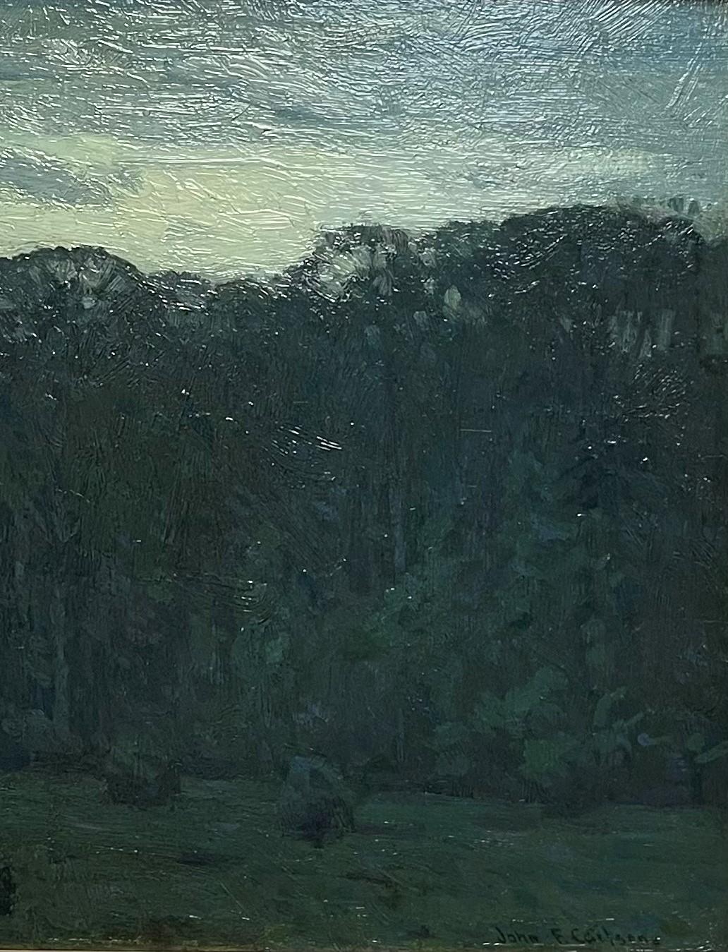 Caída nocturna
óleo sobre cartón de artista 
Firmado LR al ver el cuadro y de nuevo verso, al dorso. La imagen mide 12 x 16
 El cuadro se encuentra ahora en buen estado, listo para colgar, ya que fue limpiado y conservado en el Conservatorio de Arte