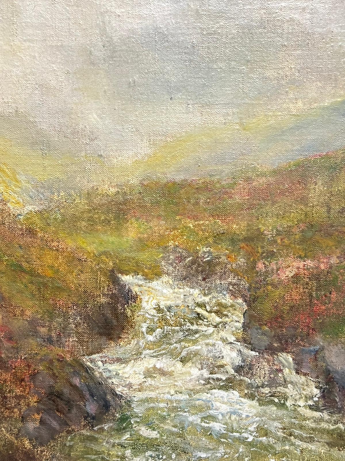 Ruscello che scorre attraverso la valle degli altipiani nebbiosi Pittura ad olio Artista rispettato in vendita 1