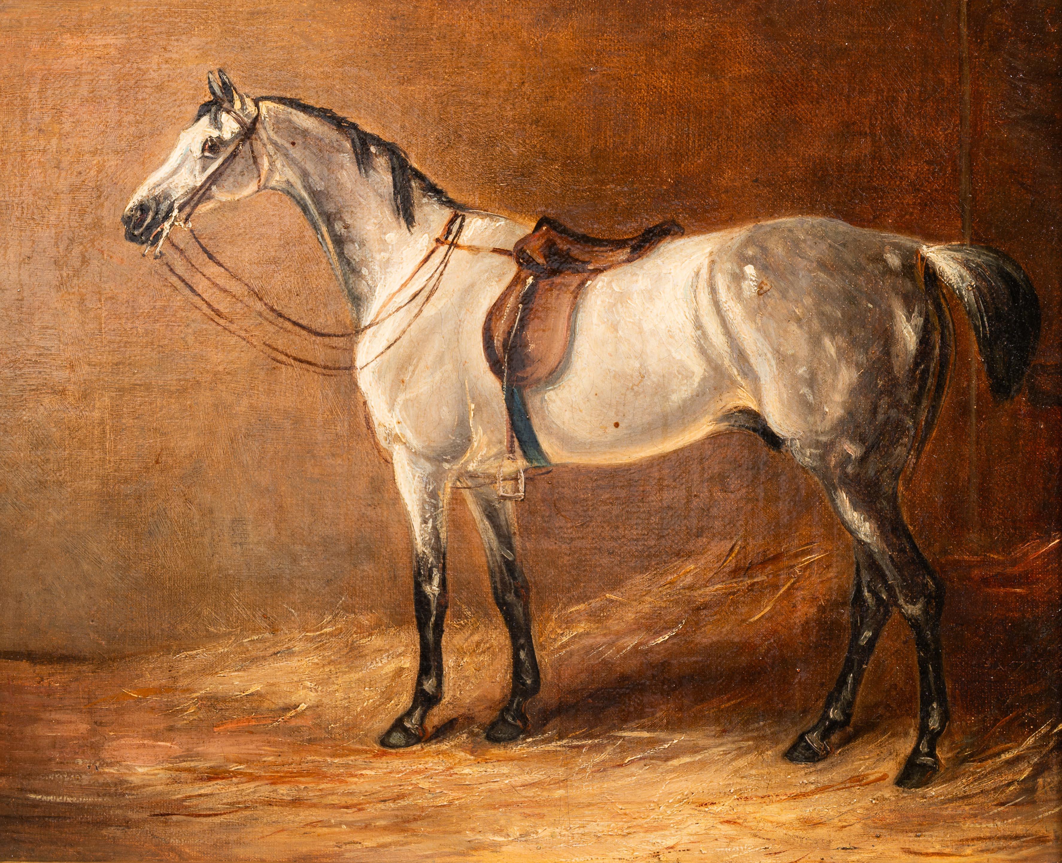Ein gesattelter grauer Jäger in einer Loosebox – Painting von John Ferneley Junior