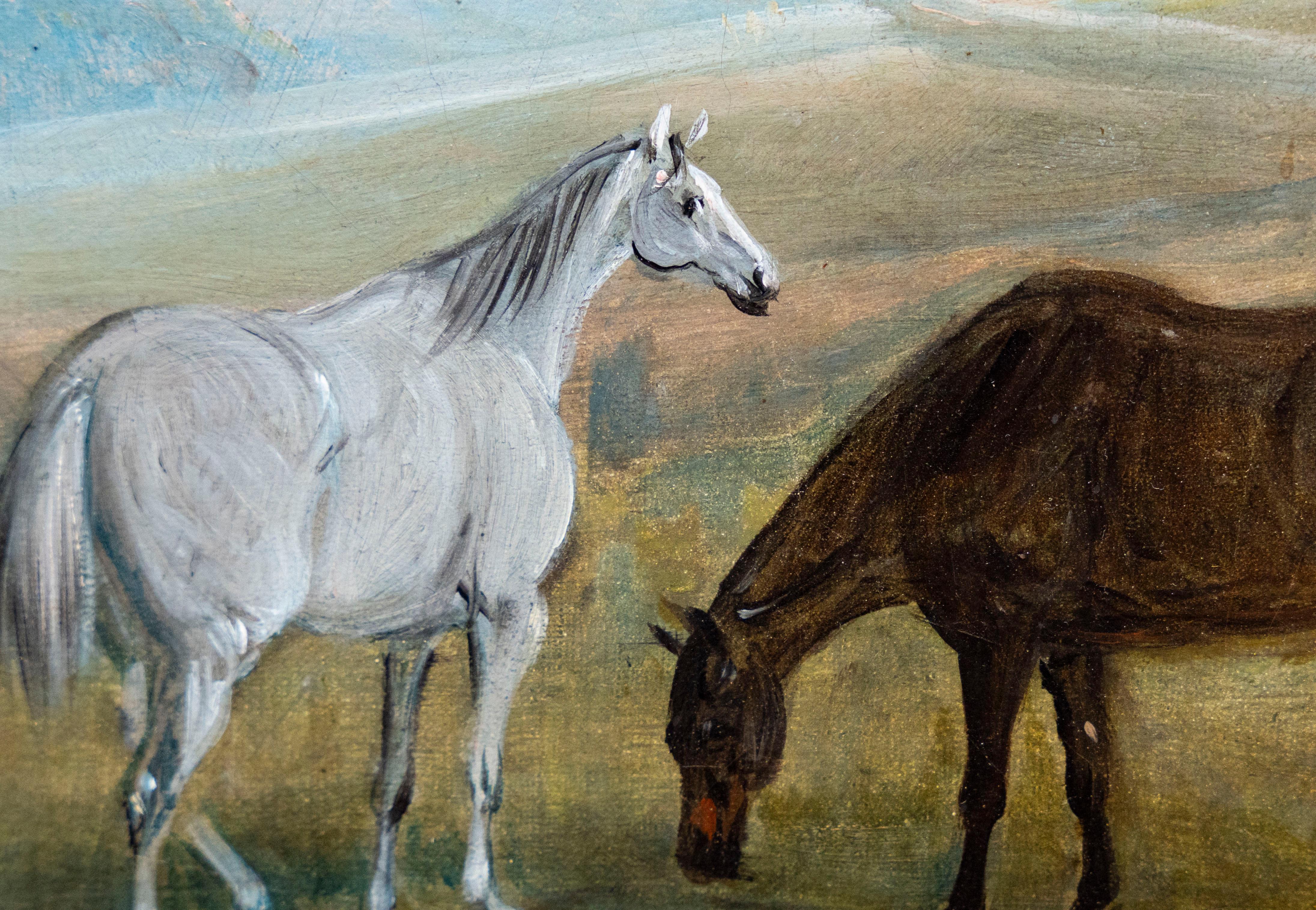 Charger (Militärpferd) „Sphinx“ (Viktorianisch), Painting, von John Ferneley Junior
