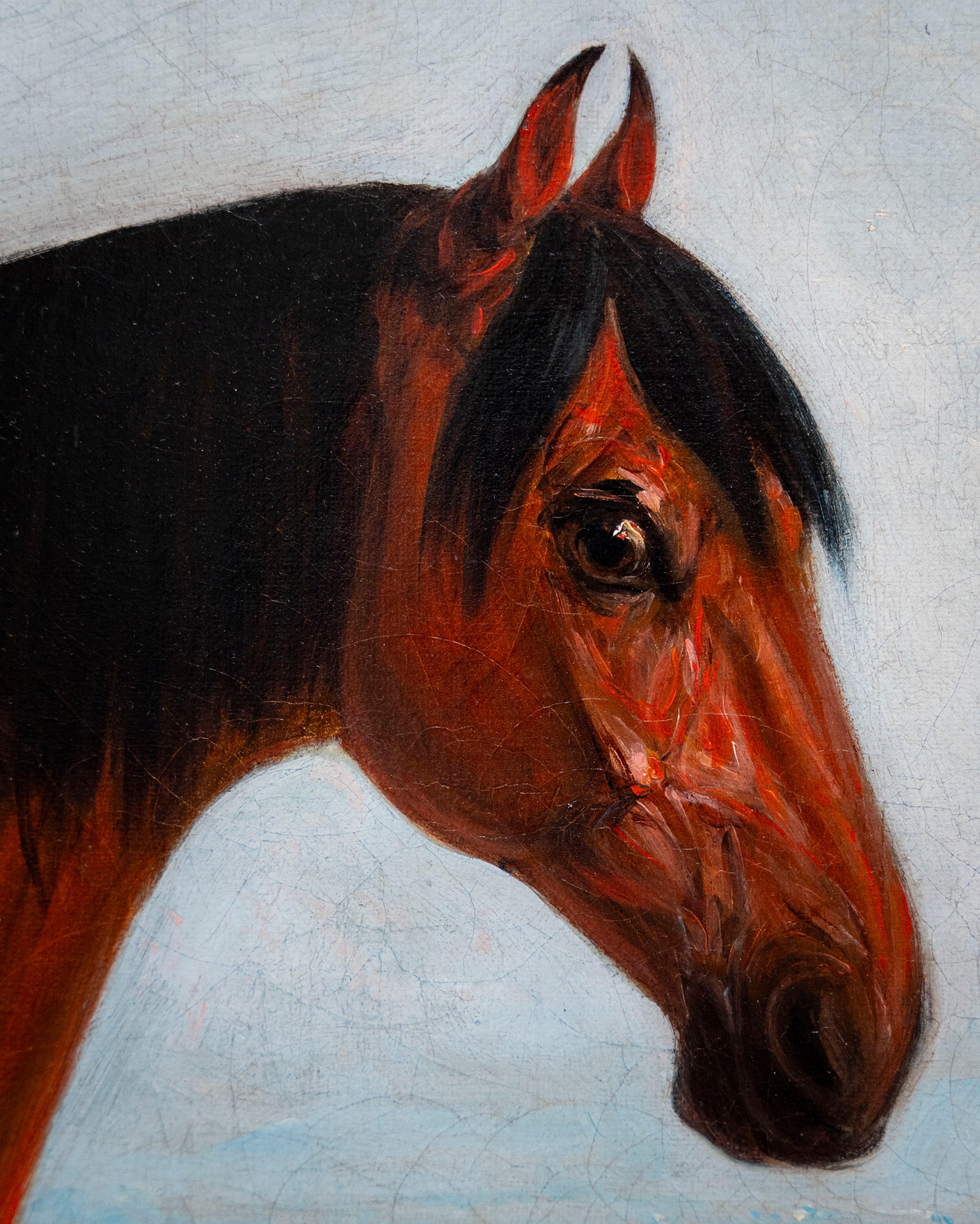 Charger (Militärpferd) „Sphinx“ (Braun), Animal Painting, von John Ferneley Junior