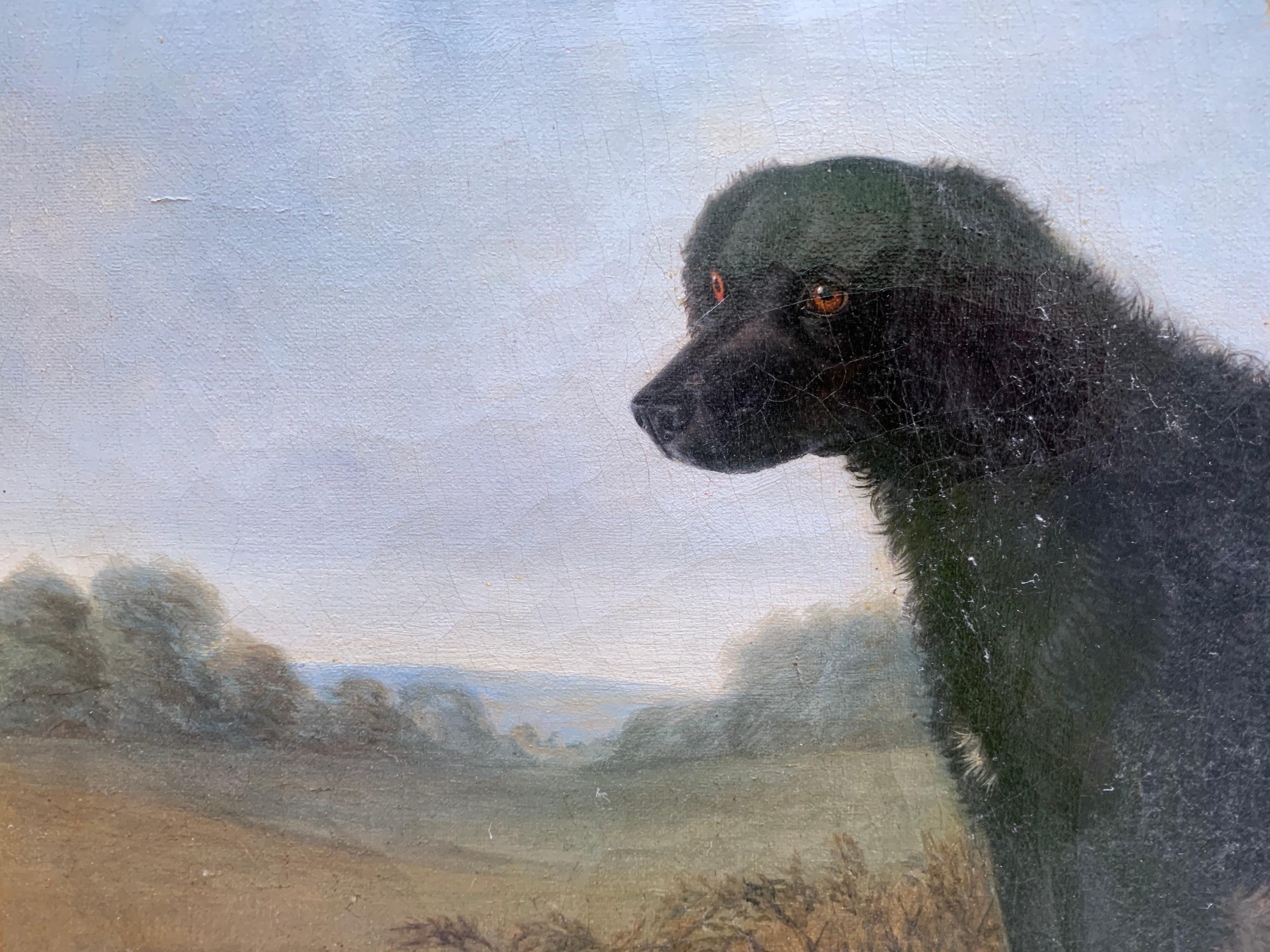Retrato de labrador negro de pelo largo, siglo XIX, escuela inglesa en venta 2