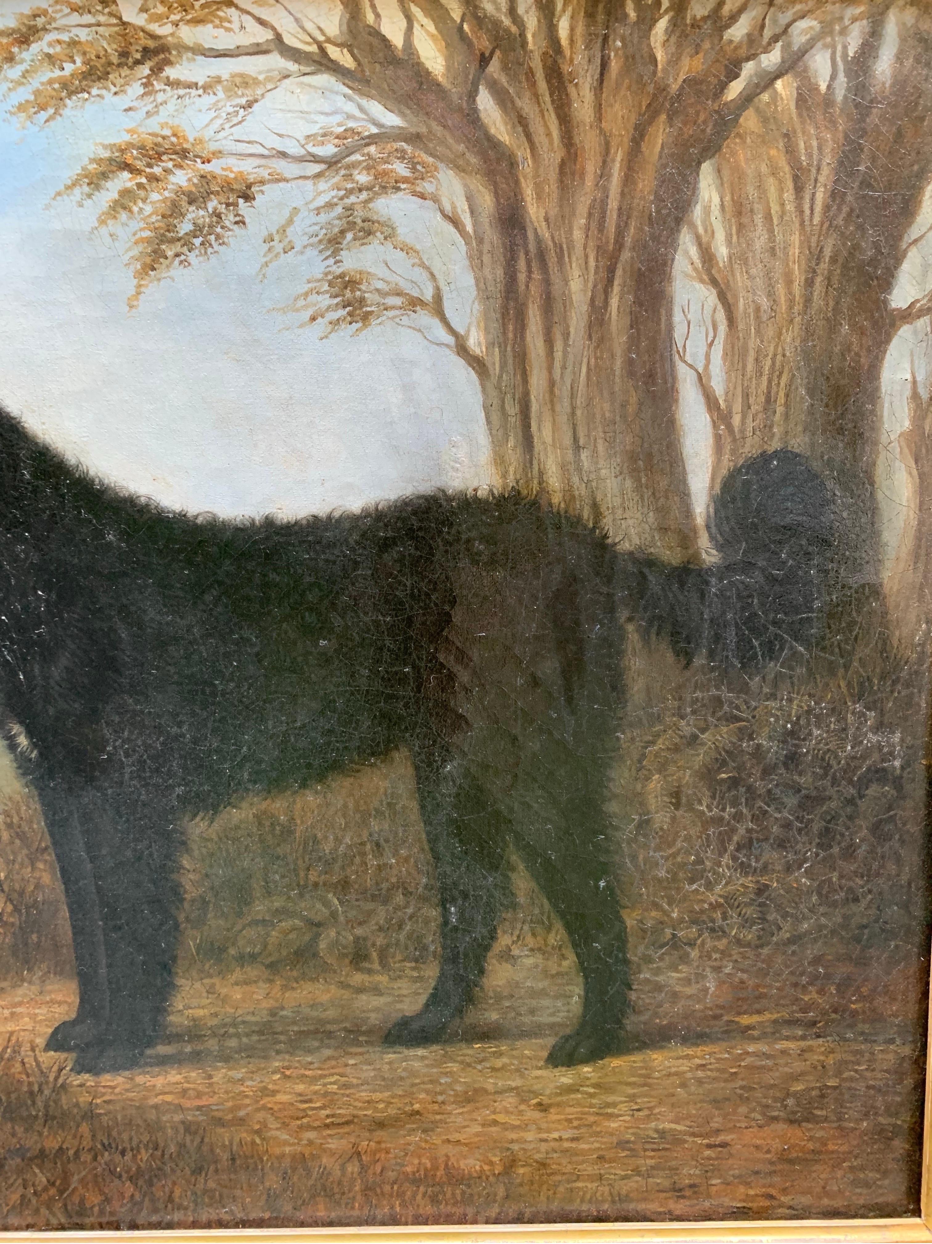 Retrato de labrador negro de pelo largo, siglo XIX, escuela inglesa en venta 3