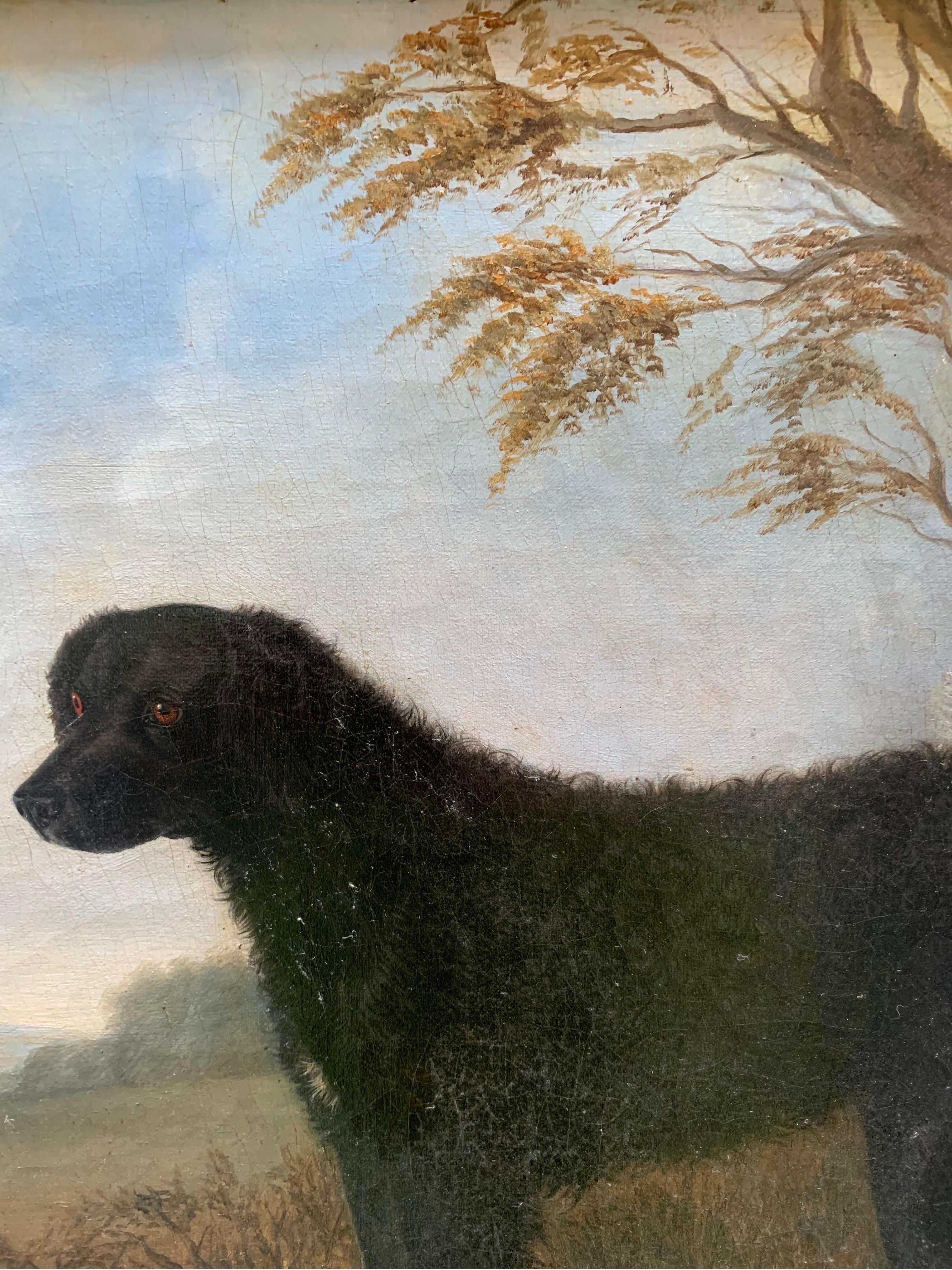 Retrato de labrador negro de pelo largo, siglo XIX, escuela inglesa en venta 4