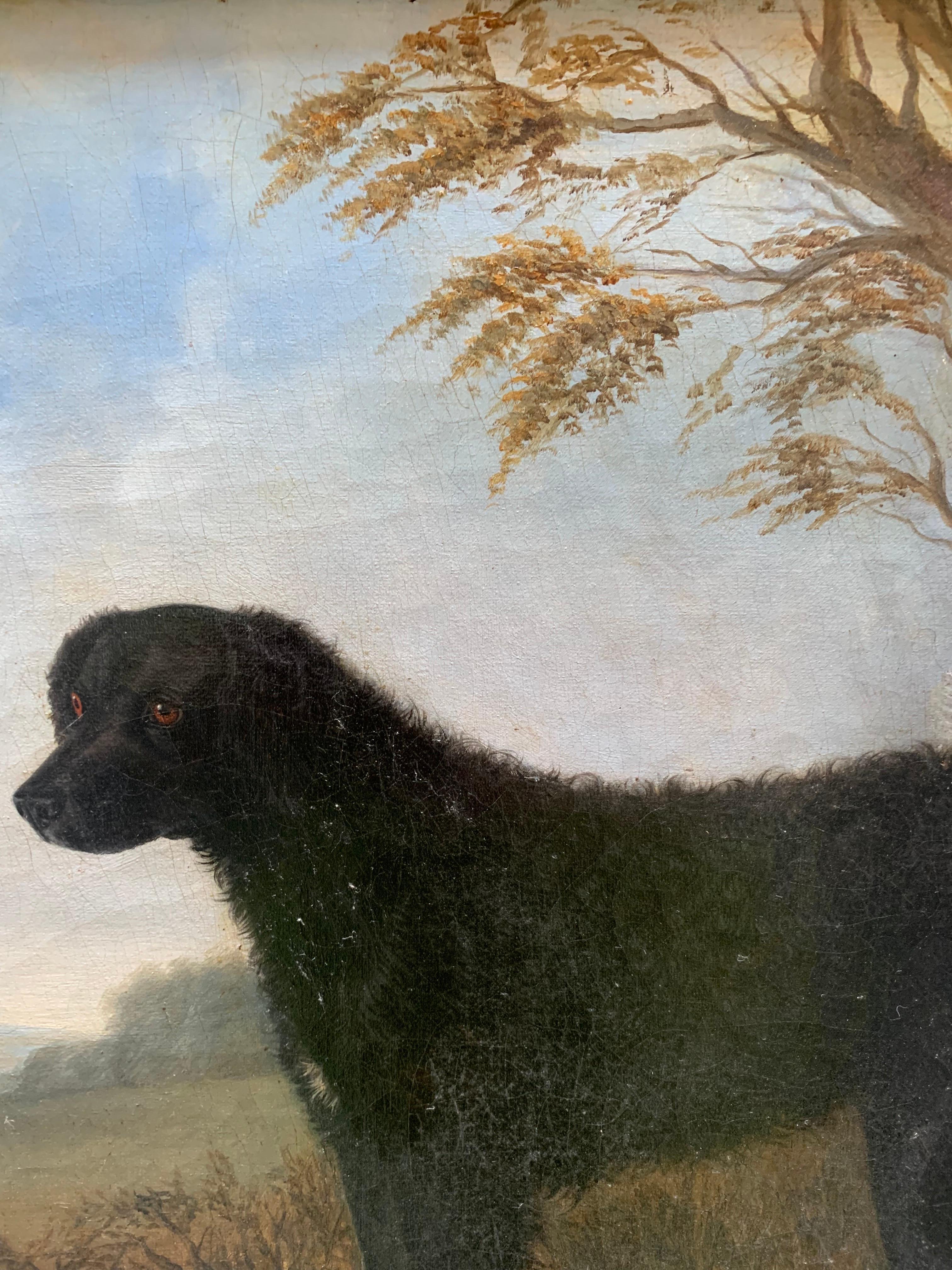Retrato de labrador negro de pelo largo, siglo XIX, escuela inglesa en venta 9