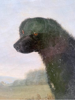 Portrait of the Long-Haired Black Labrador, 19th Century, English School
