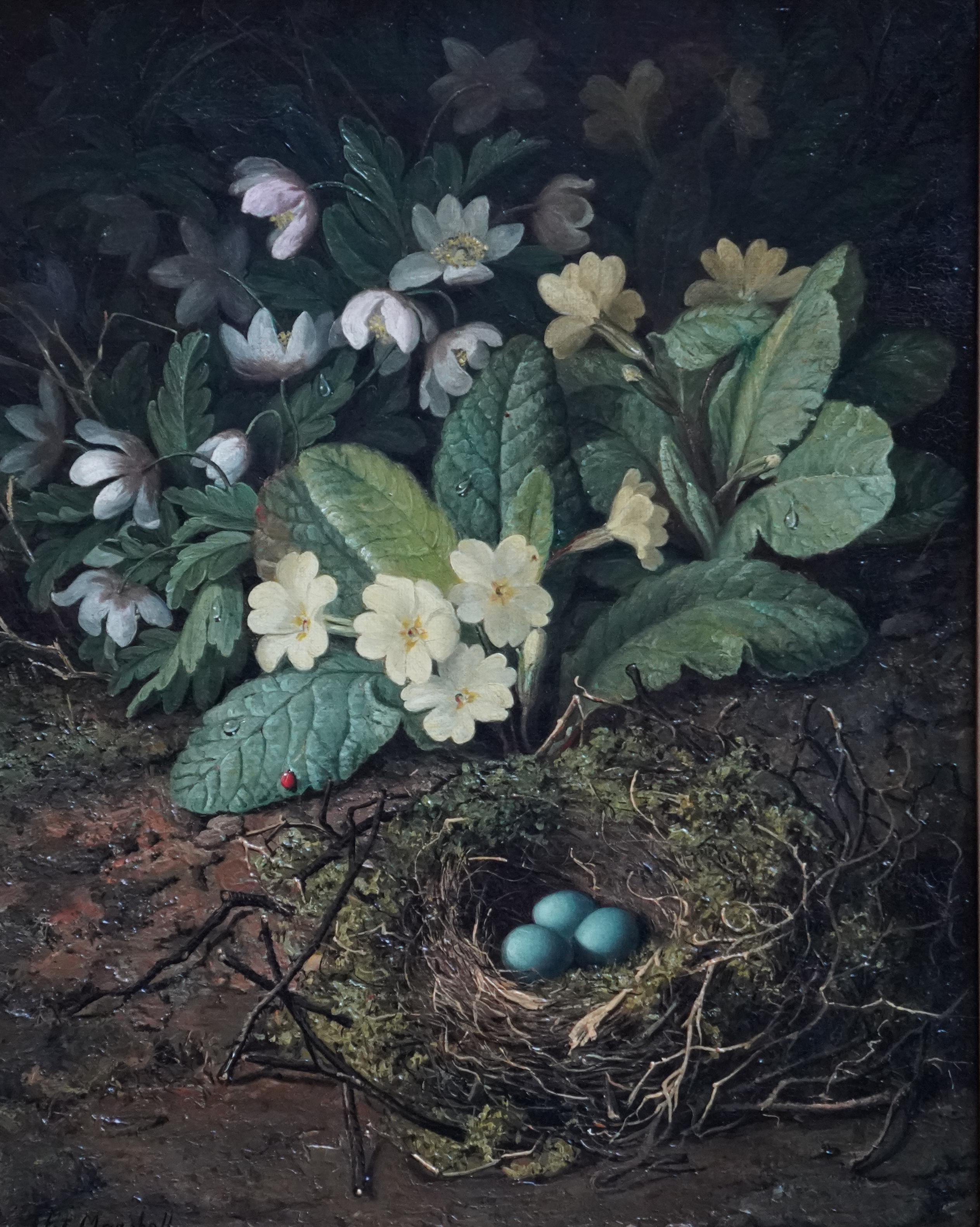 Still Life of Birds Nest with Primroses - British 19th century art oil painting 3