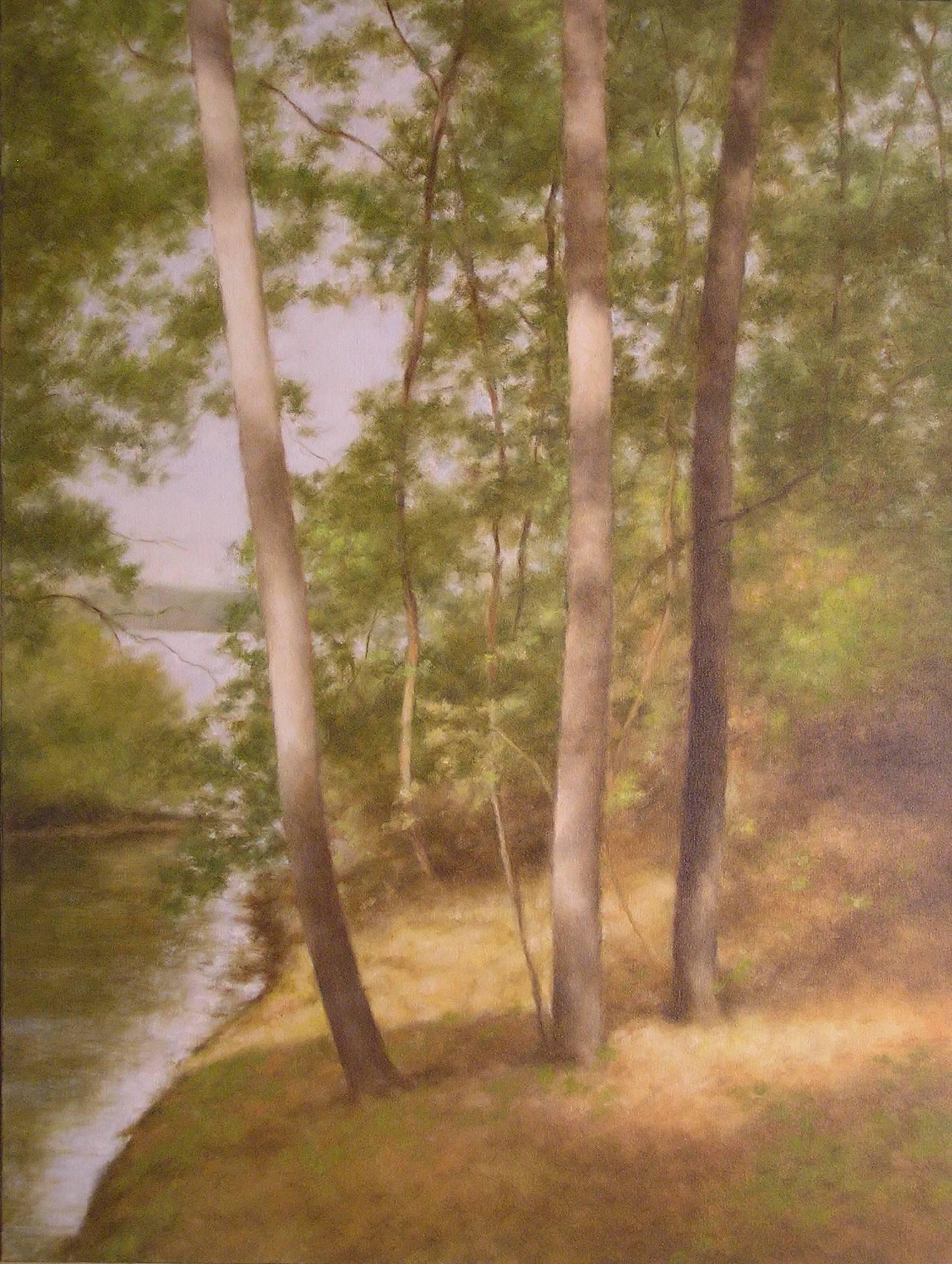 John Folchi Landscape Painting - Lake Passage