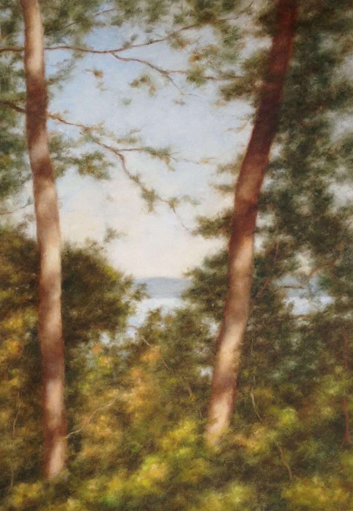Two Trees By The Lake