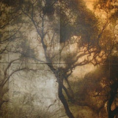 Cumberland Island I Main Road