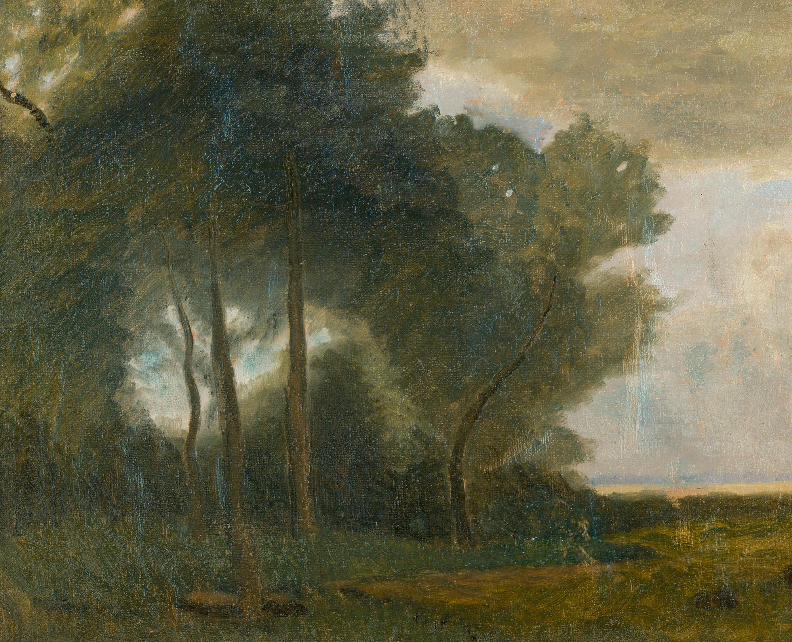 John Foulger (1943-2007) - Olio del XX secolo con cornice, Un campo con alberi 1