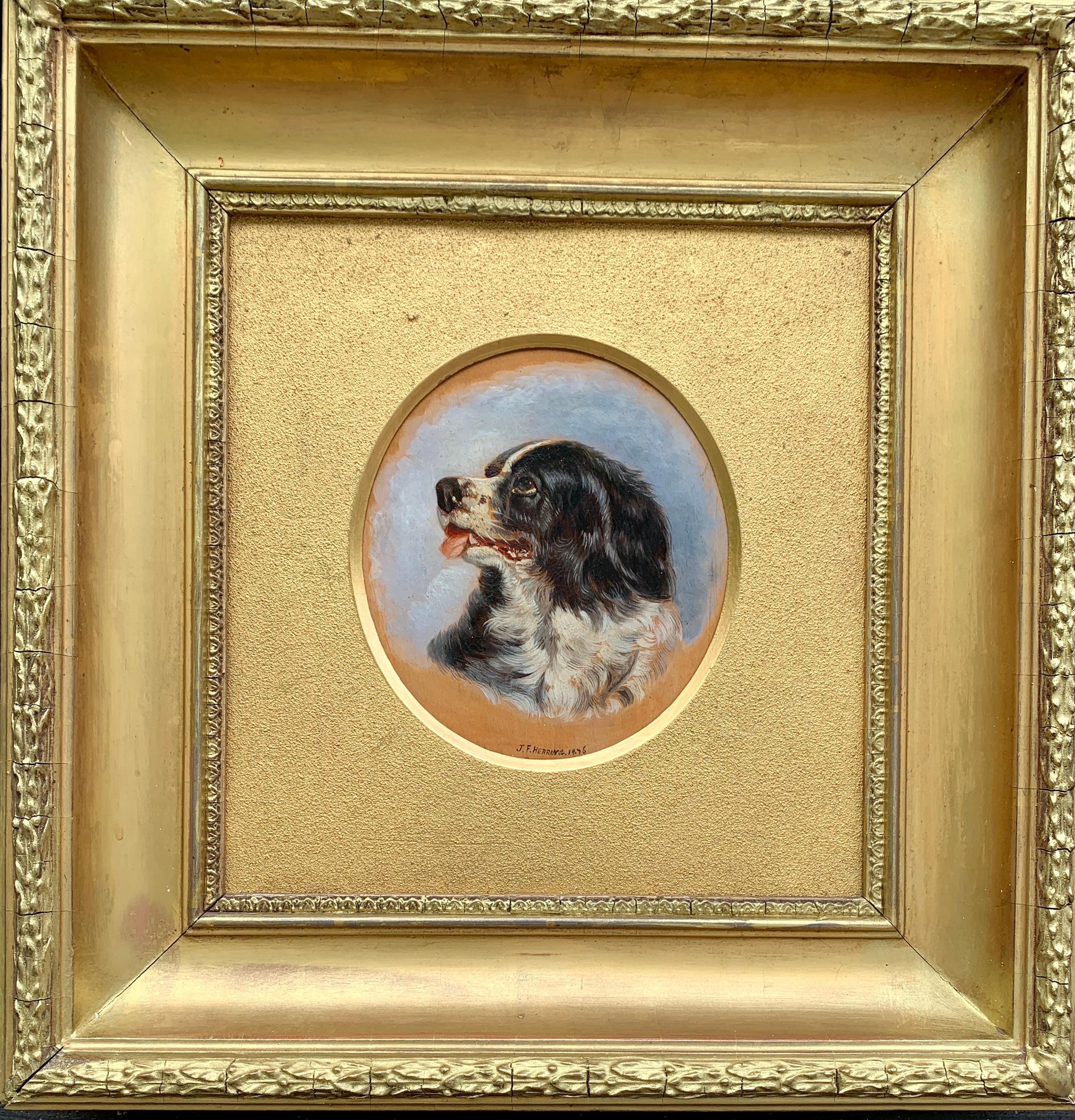 English Antique oil painting of an English Spaniel dog head - Painting by John Frederick Herring Jr.