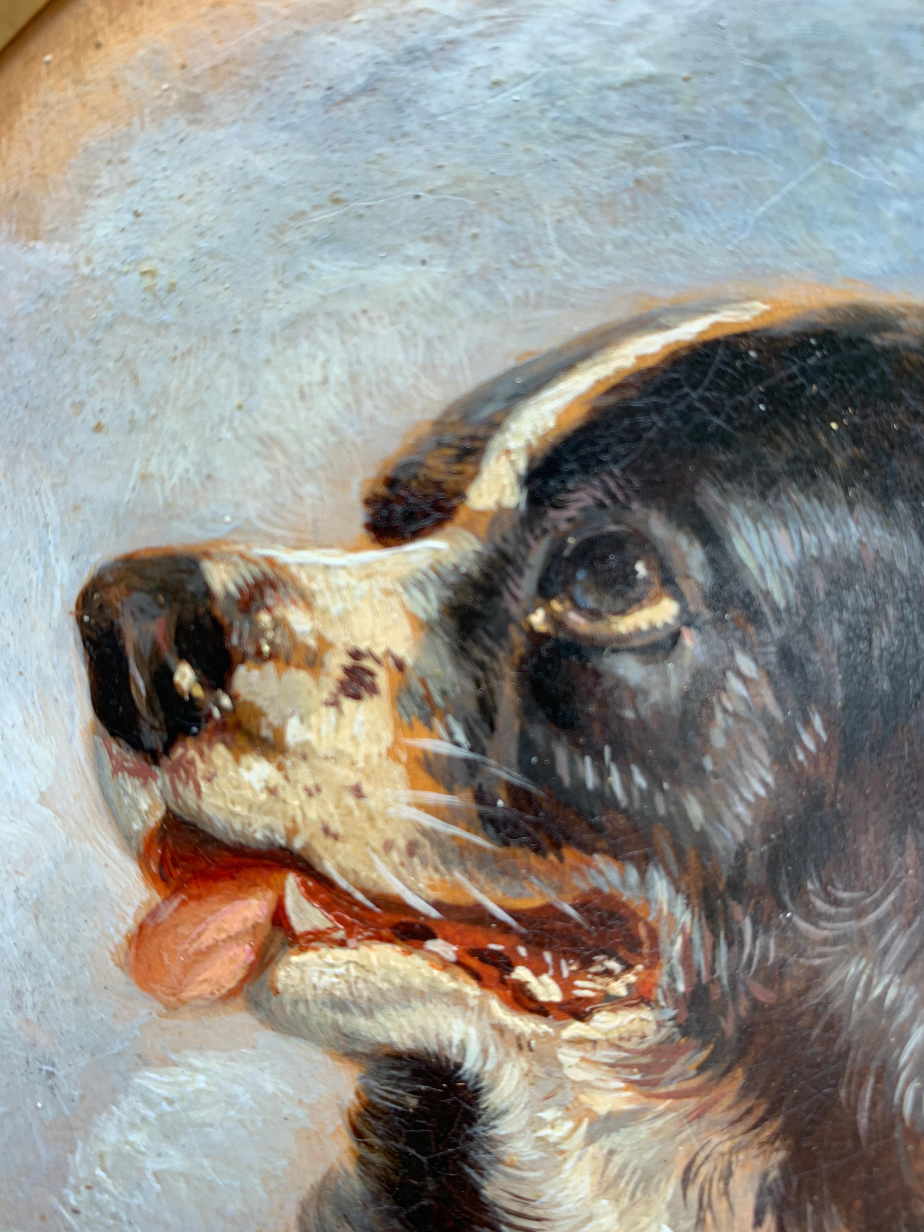 English Antique oil painting of an English Spaniel dog head - Brown Portrait Painting by John Frederick Herring Jr.