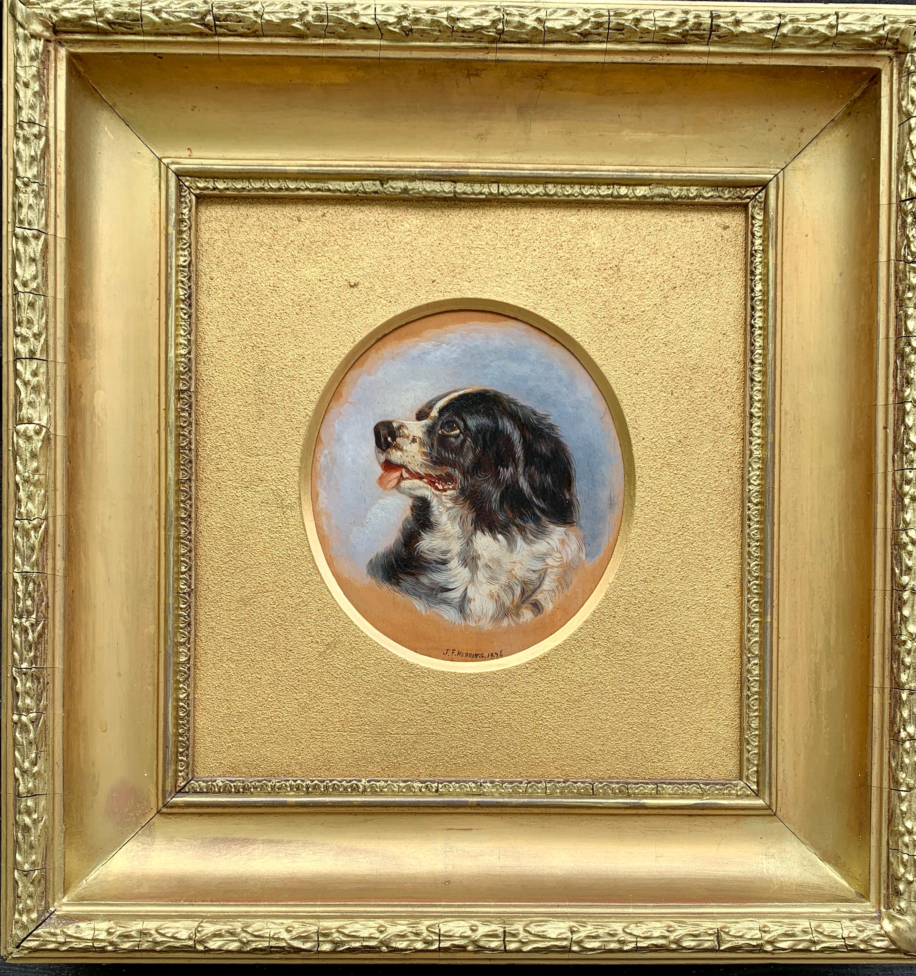 English Antique oil painting of an English Spaniel dog head