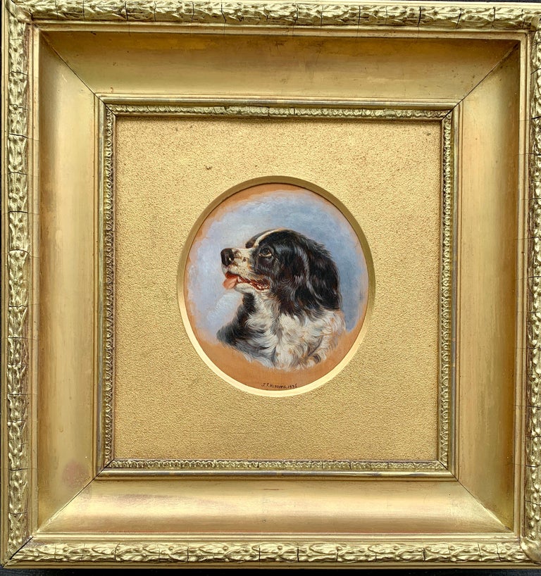 Portrait study of an English spaniel, 1878, by John Frederick Herring Jr., offered by David Brooker Fine Art