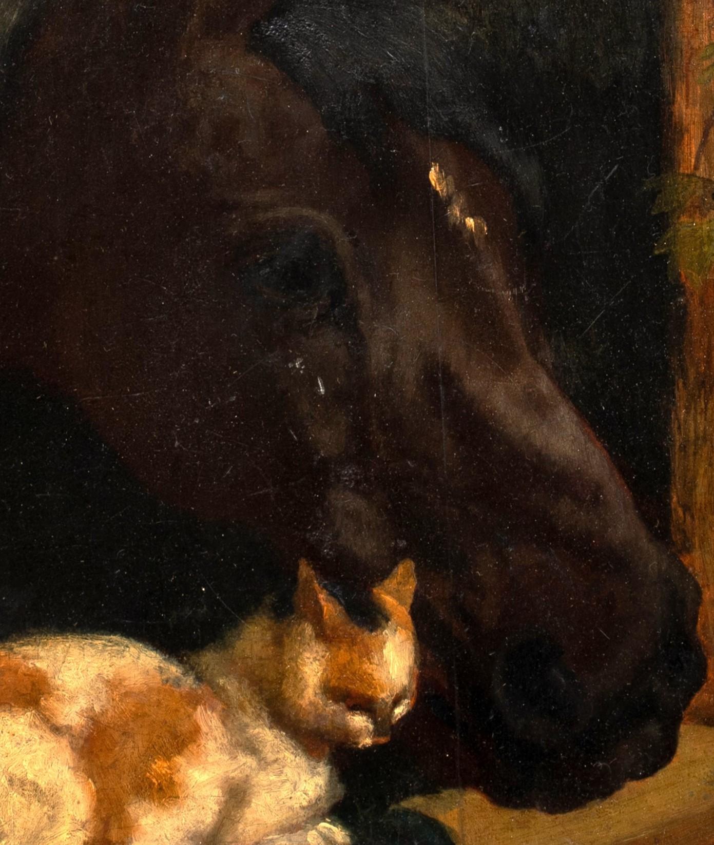 Pferd und Katze, 19. Jahrhundert 4