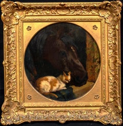 Pferd und Katze, 19. Jahrhundert