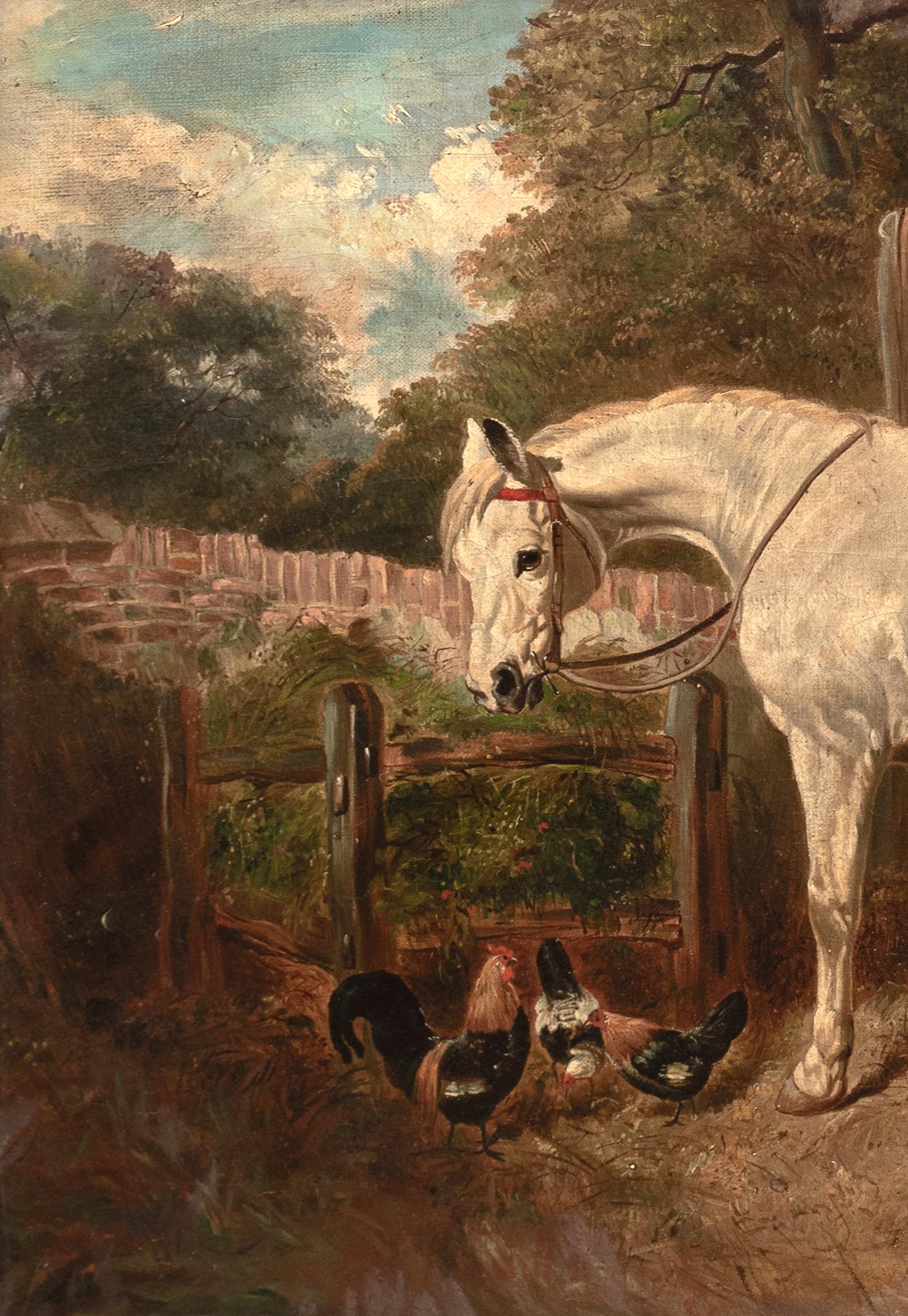 White Horse & Chickens In A Farmyard, 19th Century For Sale 6