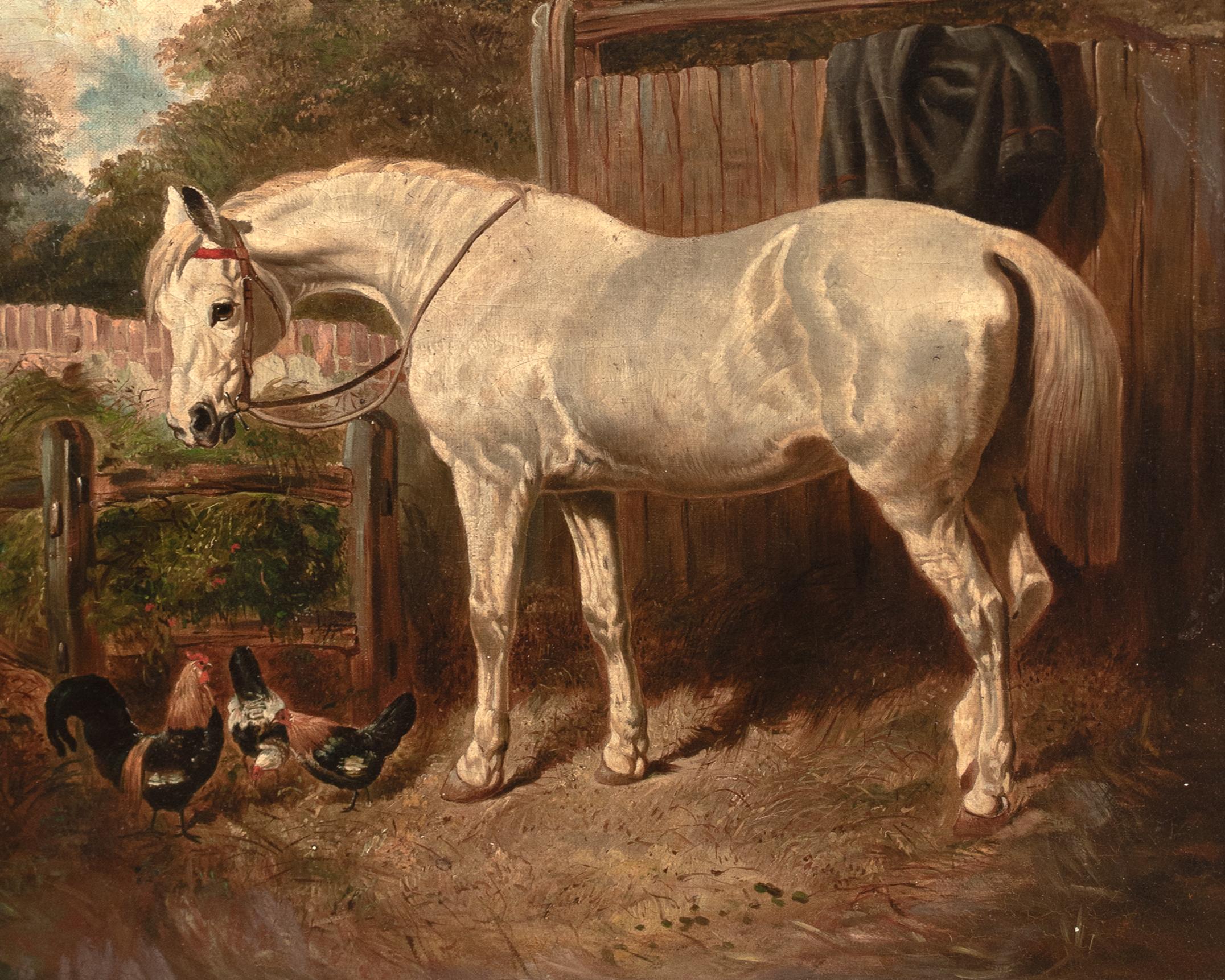 White Horse & Chickens In A Farmyard, 19th Century For Sale 1