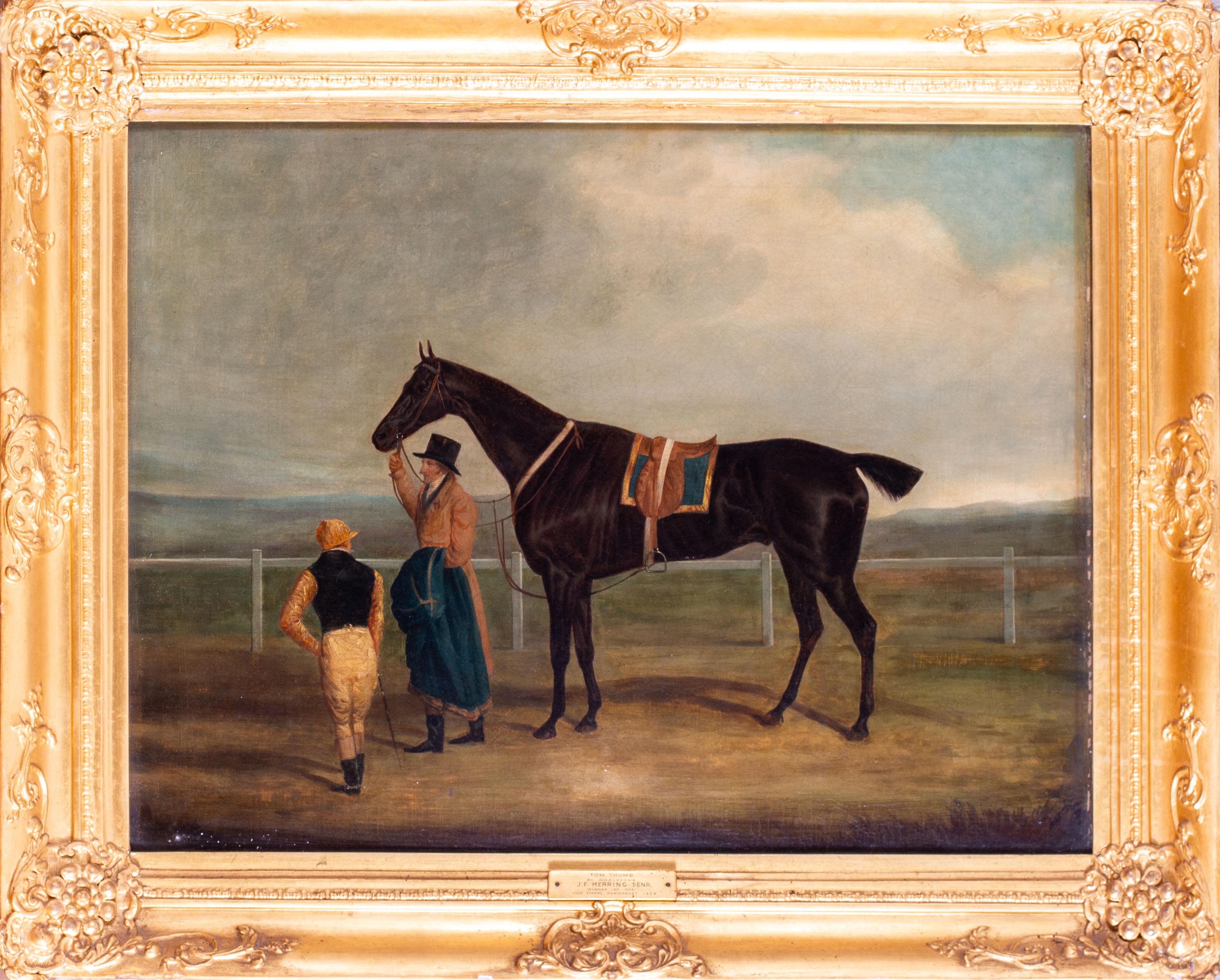 19th Century Portrait of a Horse, Attr. John Frederick Herring Sir, oil, British