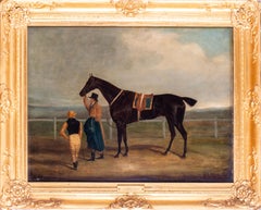 Portrait d'un cheval du XIXe siècle, attribué à John Frederick Herring, Sir, huile sur toile, britannique