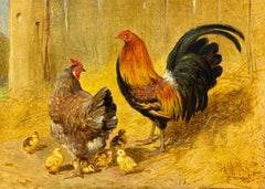 Un galletto rosso dal petto nero con gallina e pulcini