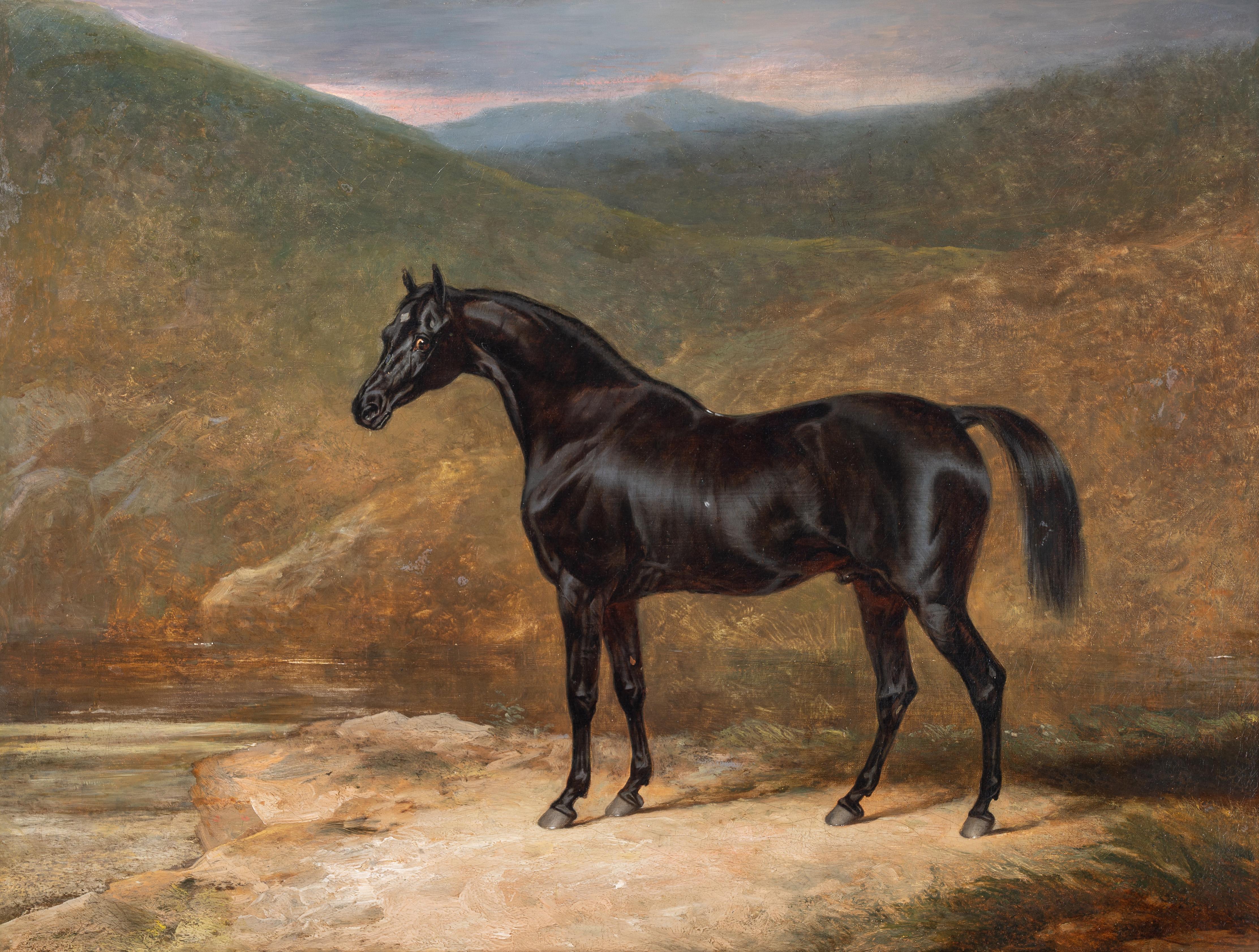 Uno stallone nero in un paesaggio - Painting di John Frederick Herring Sr.