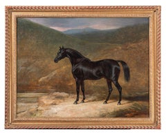 Un semental negro en un paisaje