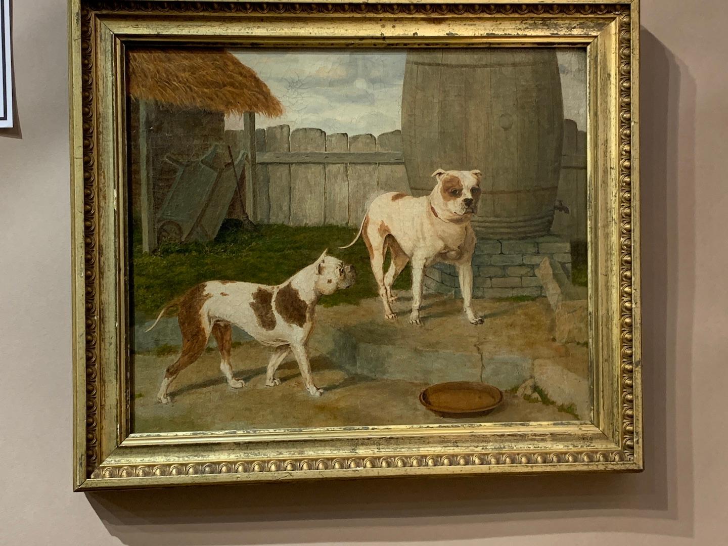 Antique 19th century English portrait two Bull Dogs in a yard. - Painting by John Frederick Herring Sr.
