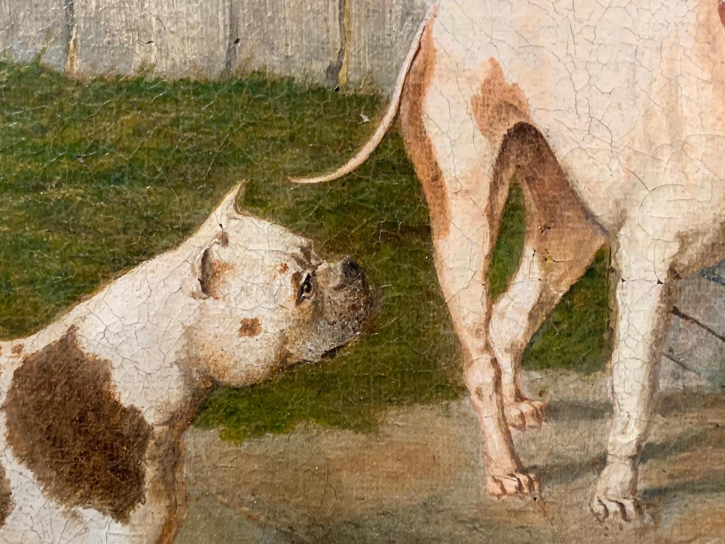 Portrait anglais ancien du 19me sicle reprsentant deux chiens de taureau dans un jardin. - Victorien Painting par John Frederick Herring Sr.