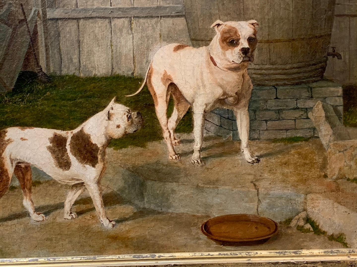 Antique 19th century English portrait two Bull Dogs in a yard. - Victorian Painting by John Frederick Herring Sr.