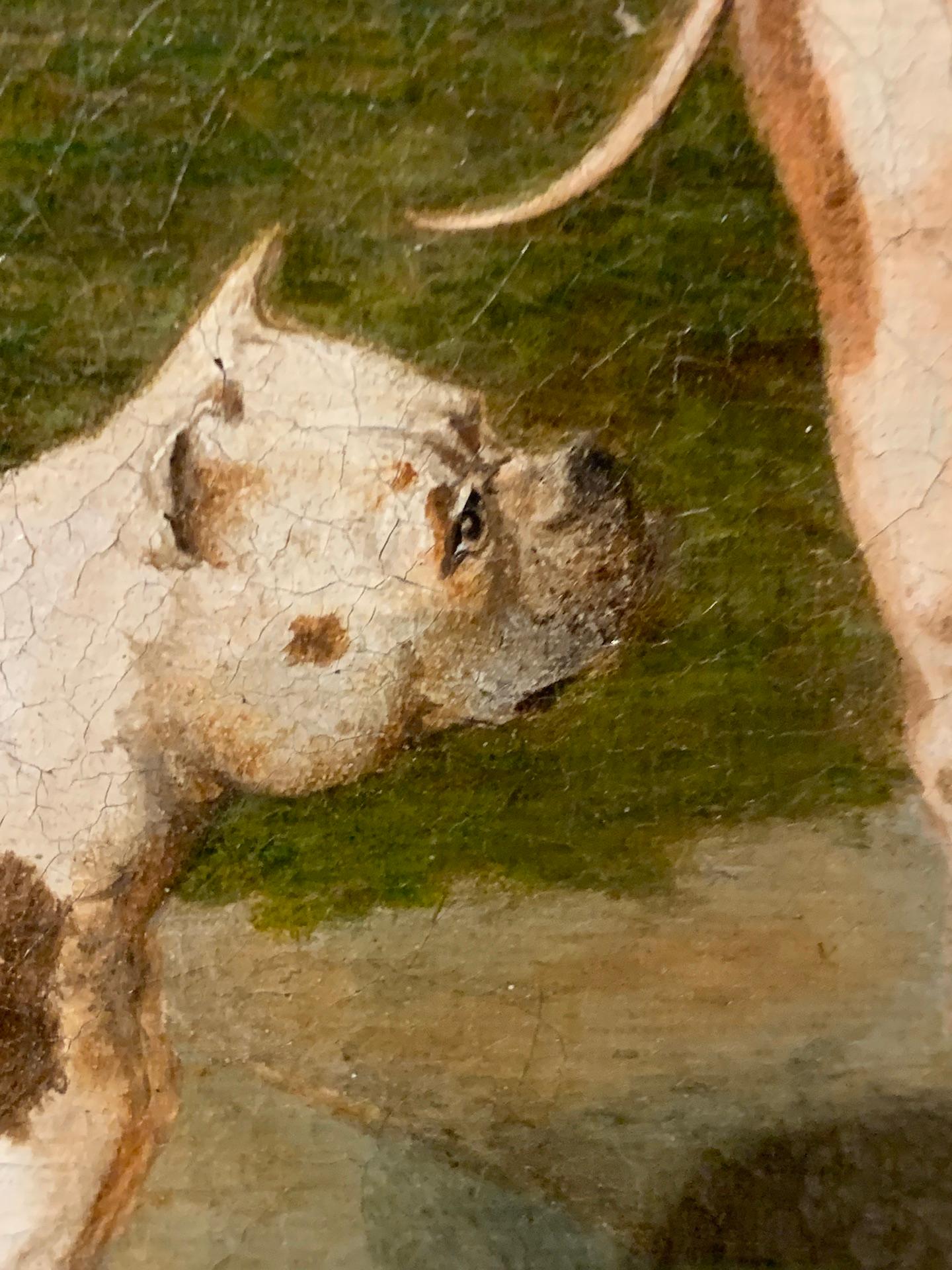 Antique 19th century English portrait two Bull Dogs in a yard. - Brown Animal Painting by John Frederick Herring Sr.