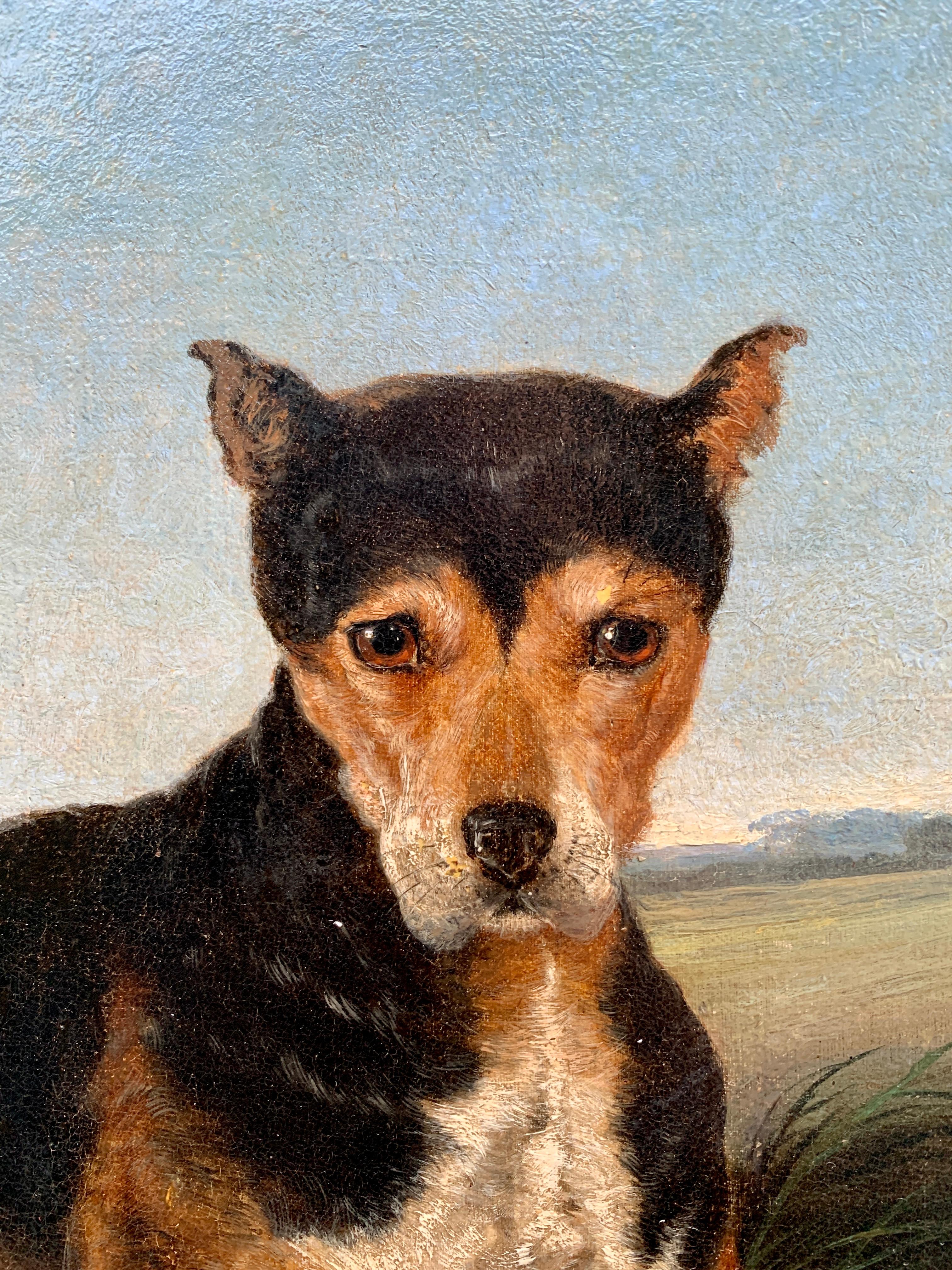 frederick the great dogs