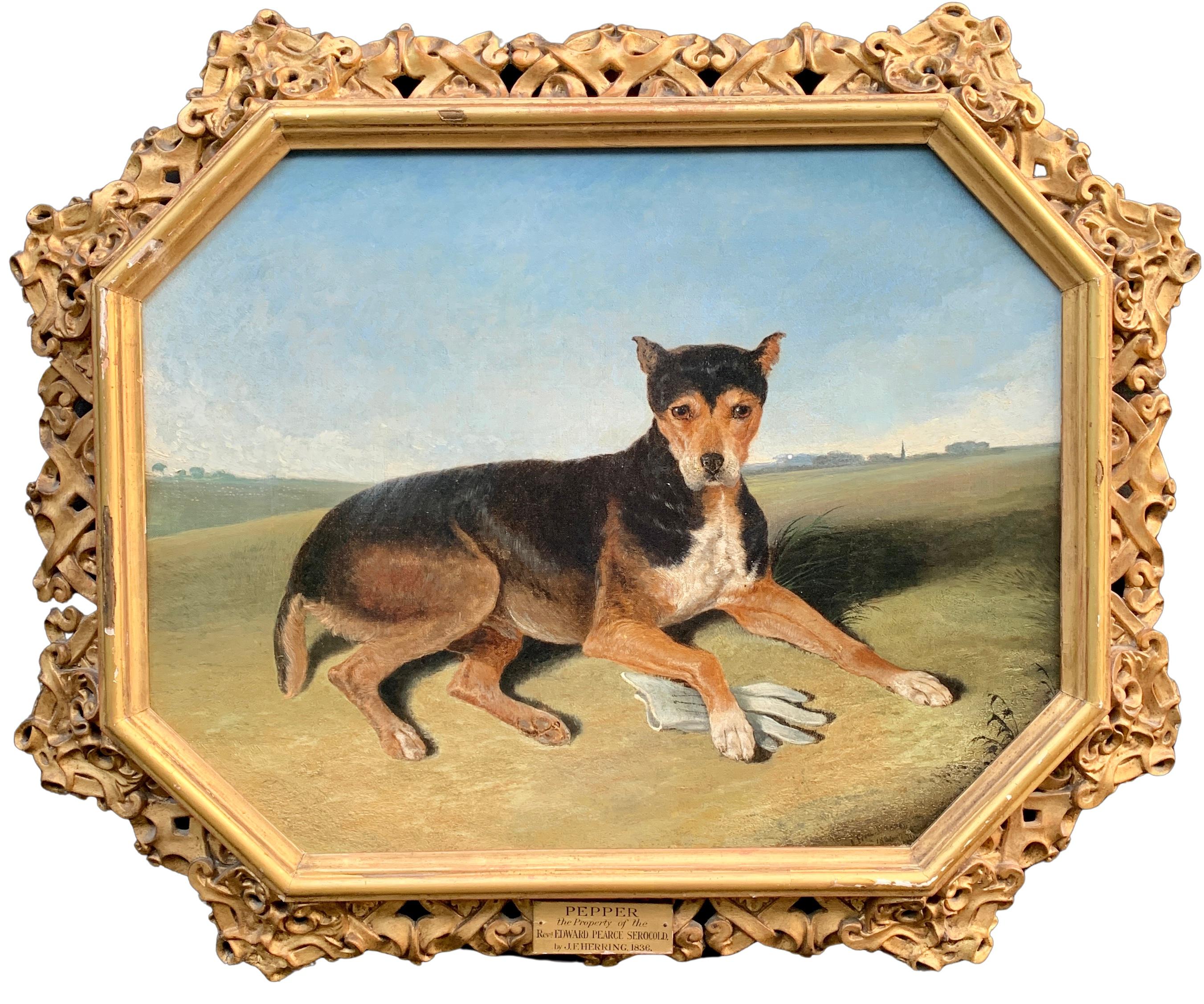 Antique 19th century portrait of a seated dog Pepper, in a landscape