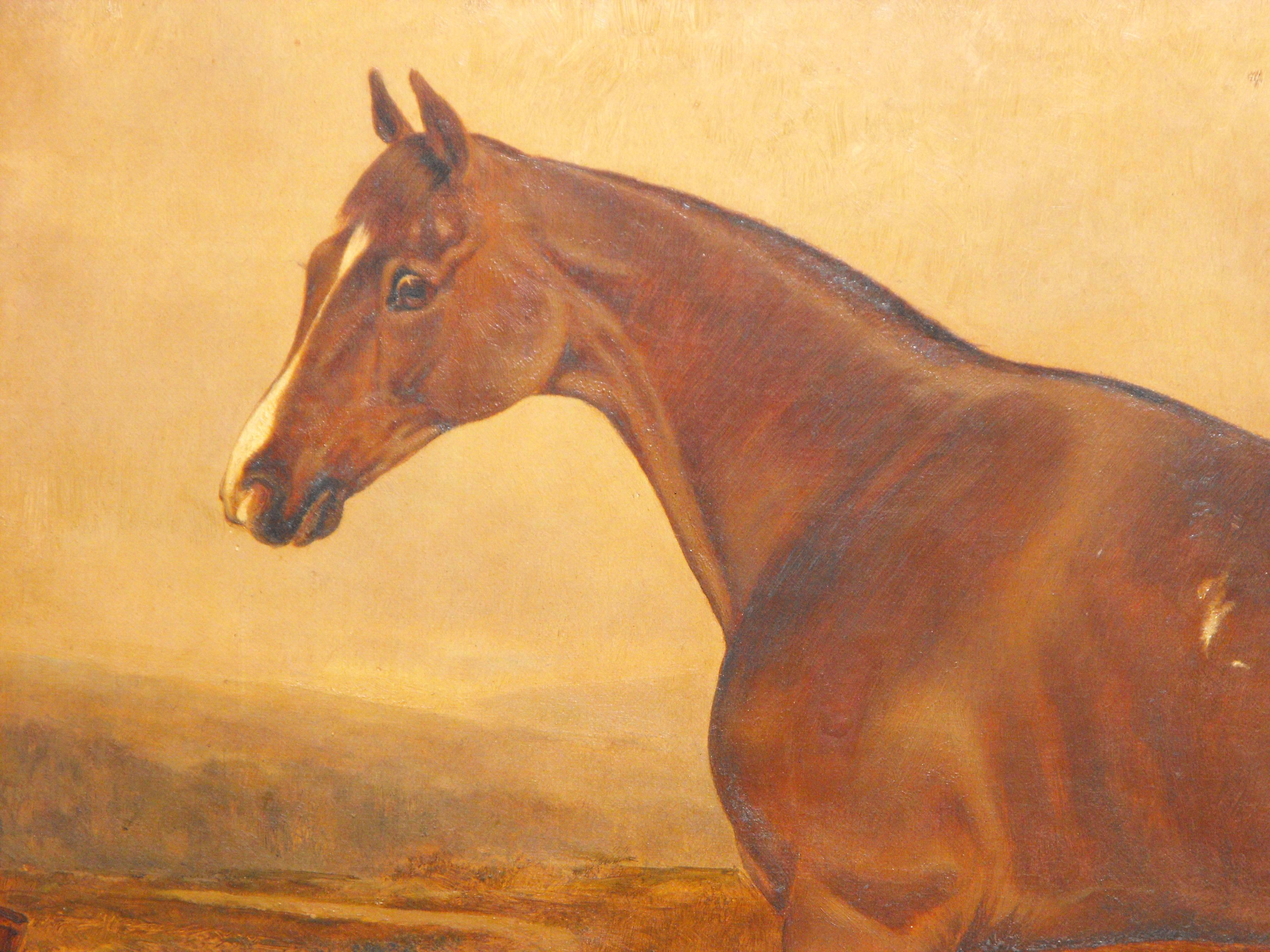  Antique oil painting on canvas of Brown Prize Hunting Horse 19th century - Painting by John Frederick Herring Sr.