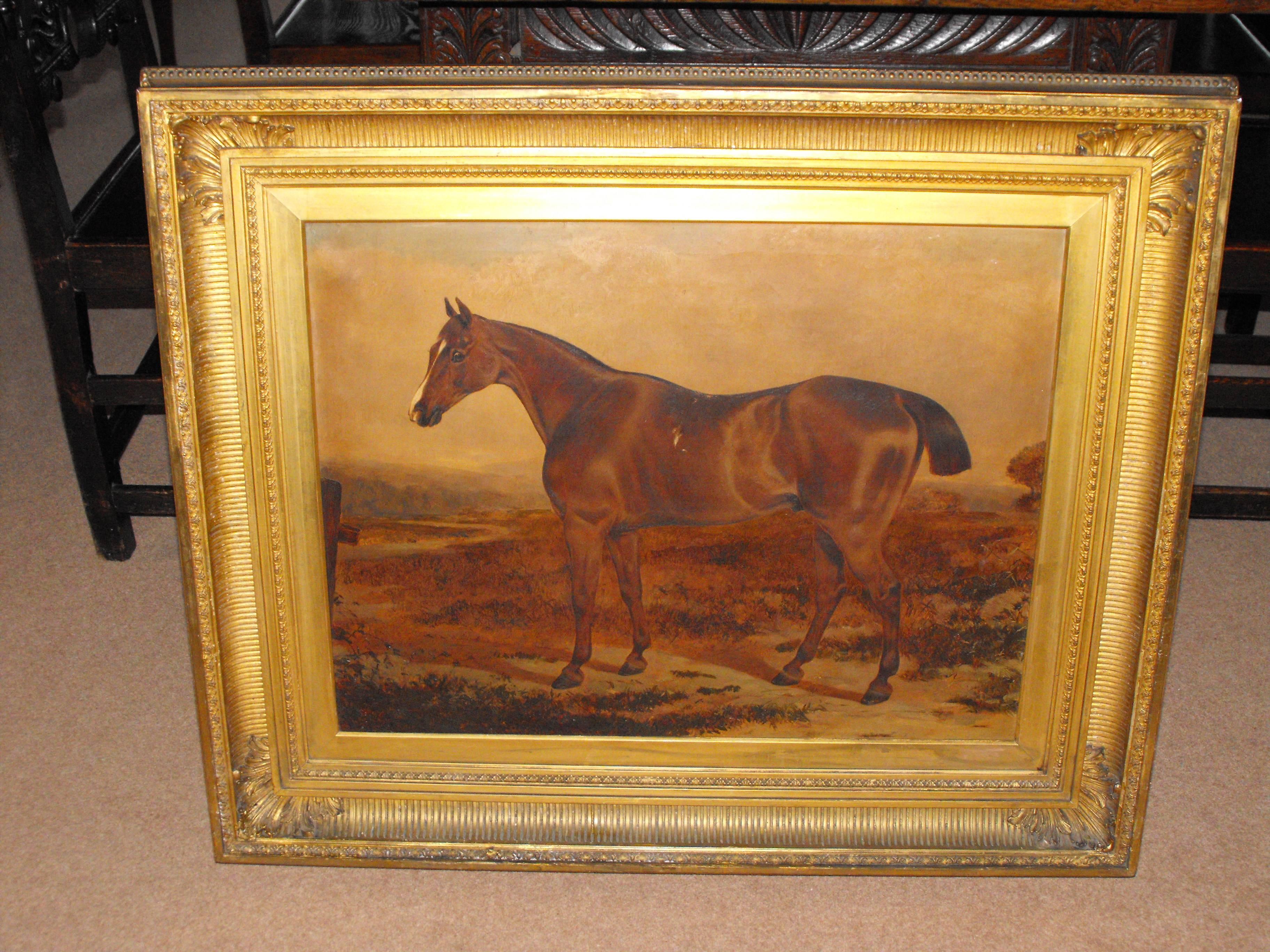  Antique oil painting on canvas of Brown Prize Hunting Horse 19th century - Victorian Painting by John Frederick Herring Sr.