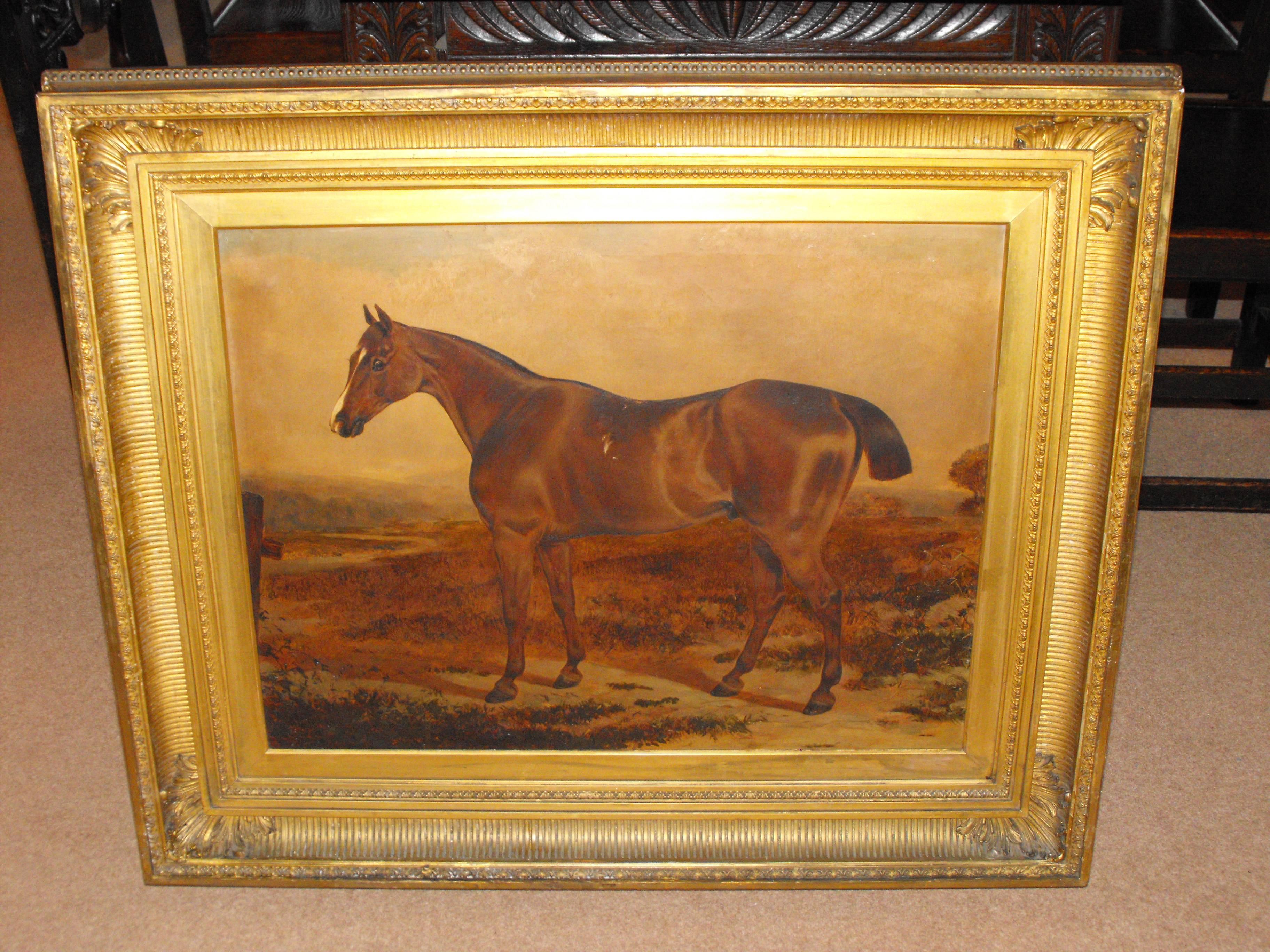 A fine example of a good quality impressive Victorian 19th century portrait antique oil painting on canvas of a prize hunting horse believed to be in the manner and style or follower of Herring Circa 1870 . We believe that the frame and canvas have