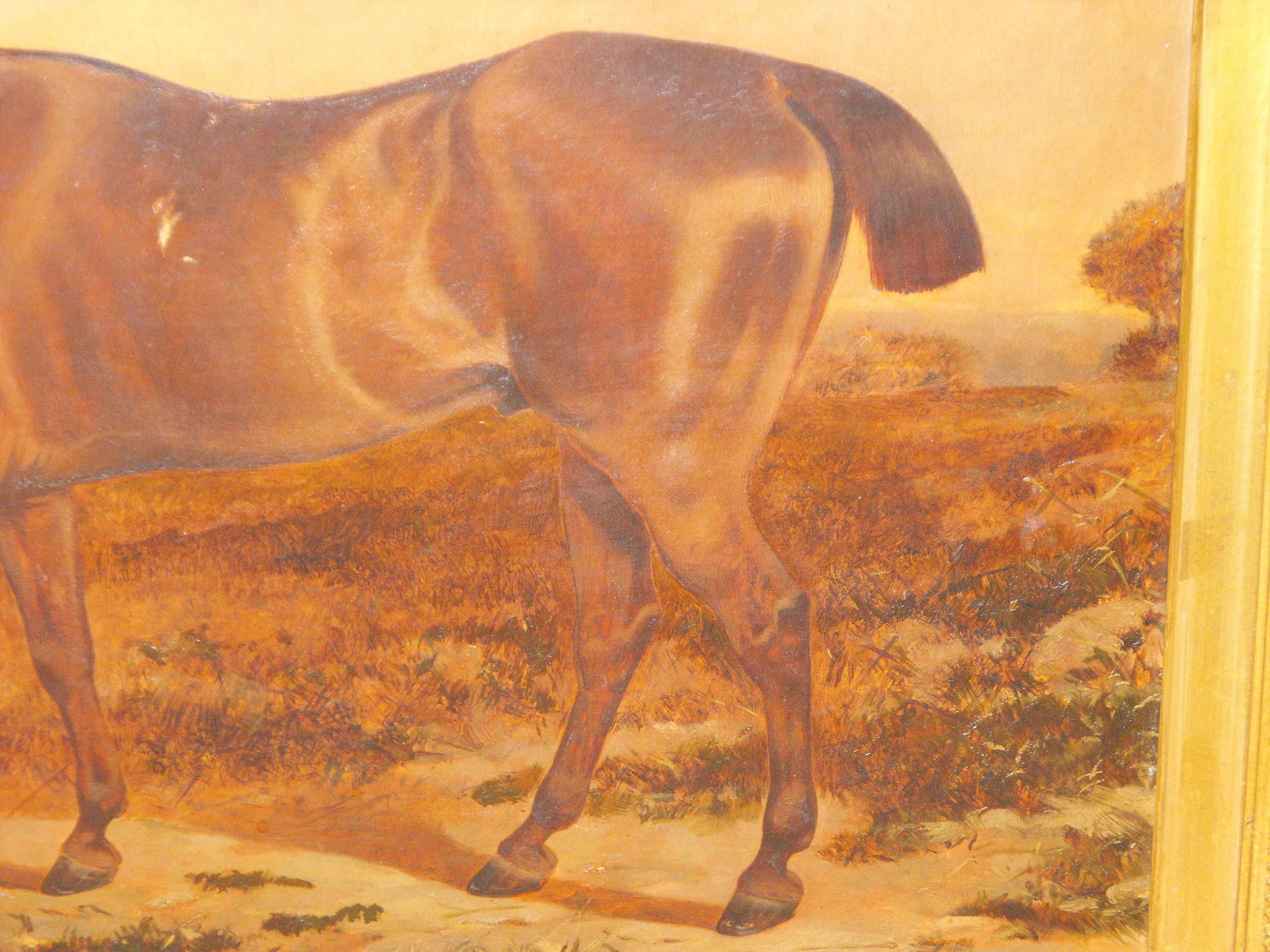  Antique oil painting on canvas of Brown Prize Hunting Horse 19th century For Sale 2