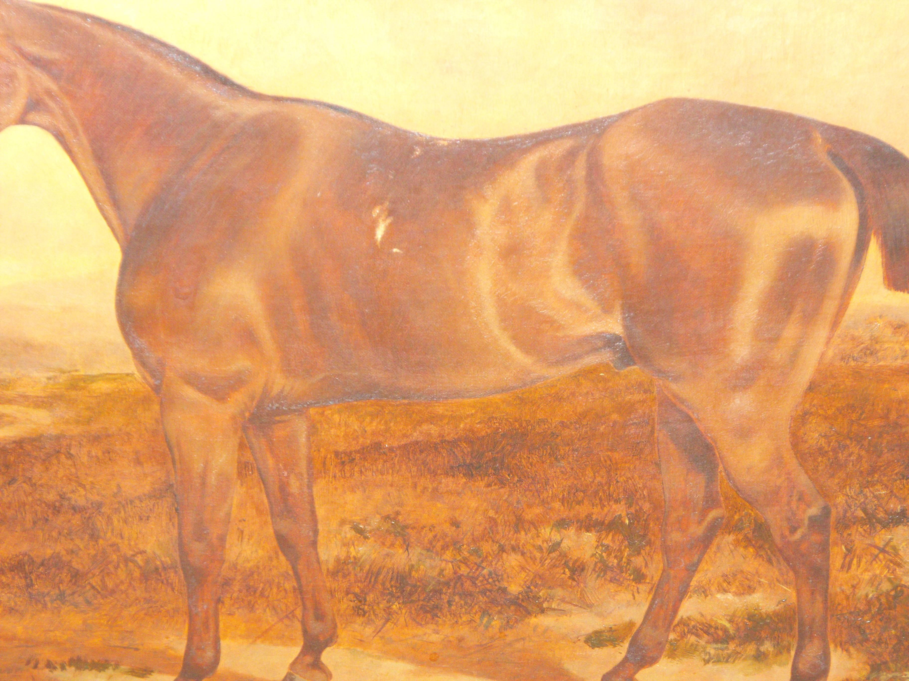  Antique oil painting on canvas of Brown Prize Hunting Horse 19th century For Sale 3