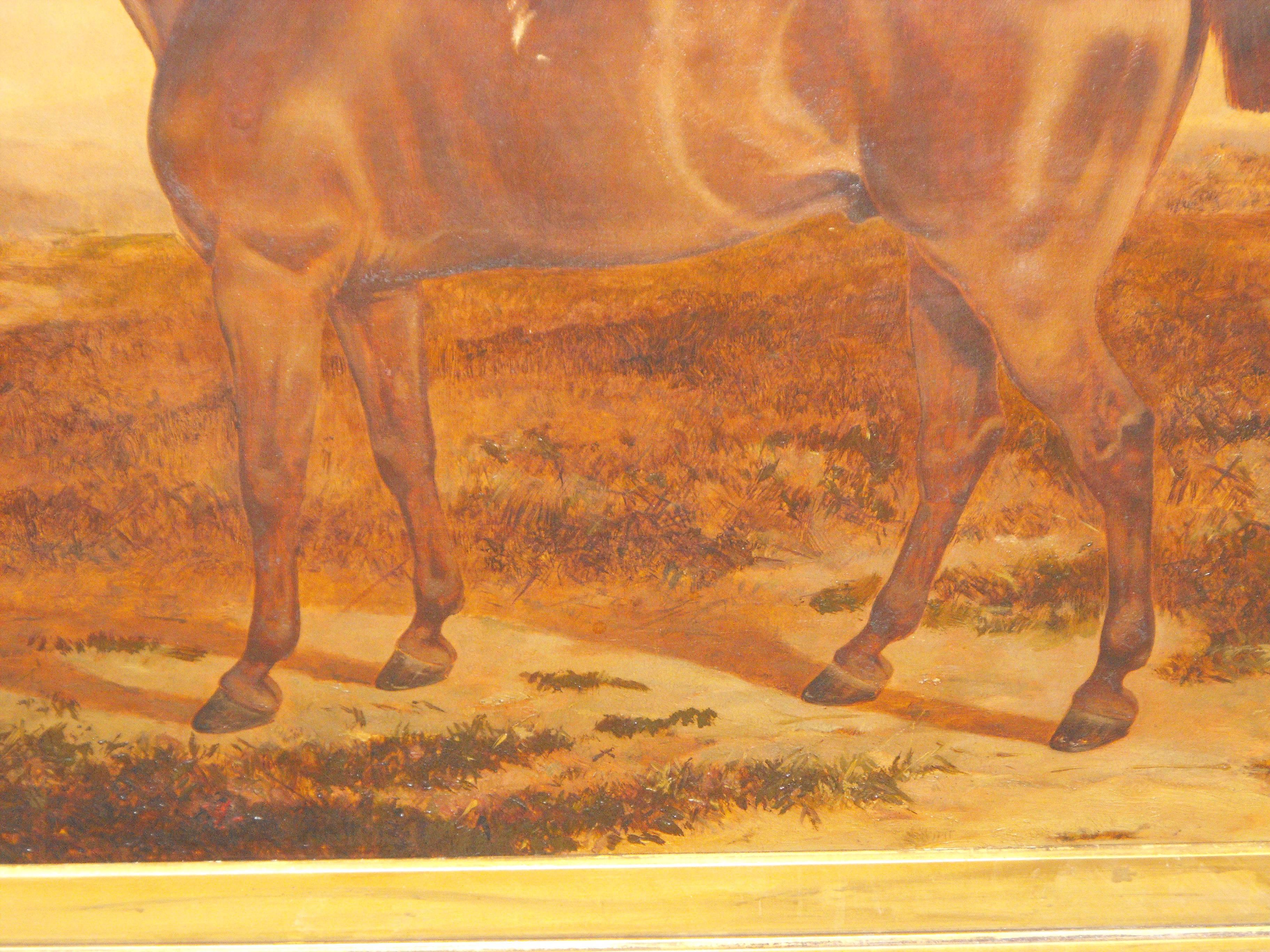  Antique oil painting on canvas of Brown Prize Hunting Horse 19th century For Sale 4