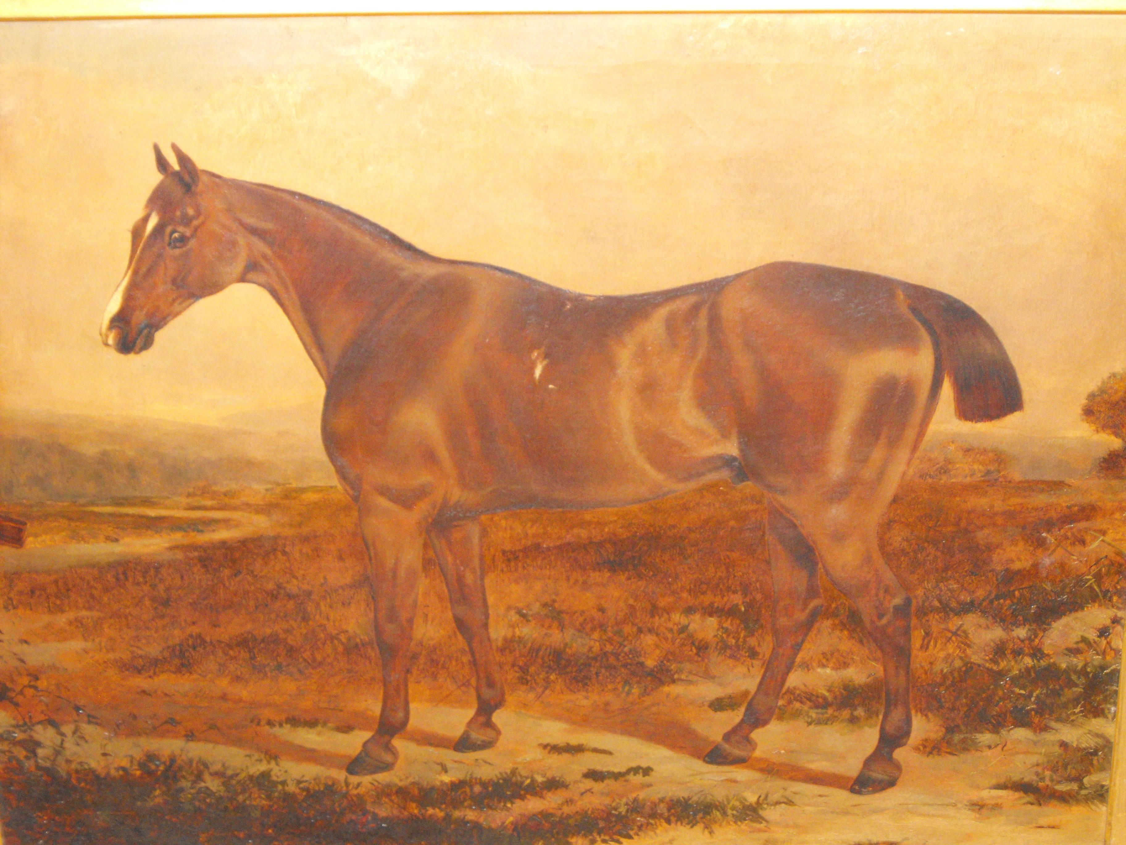  Antique oil painting on canvas of Brown Prize Hunting Horse 19th century For Sale 5