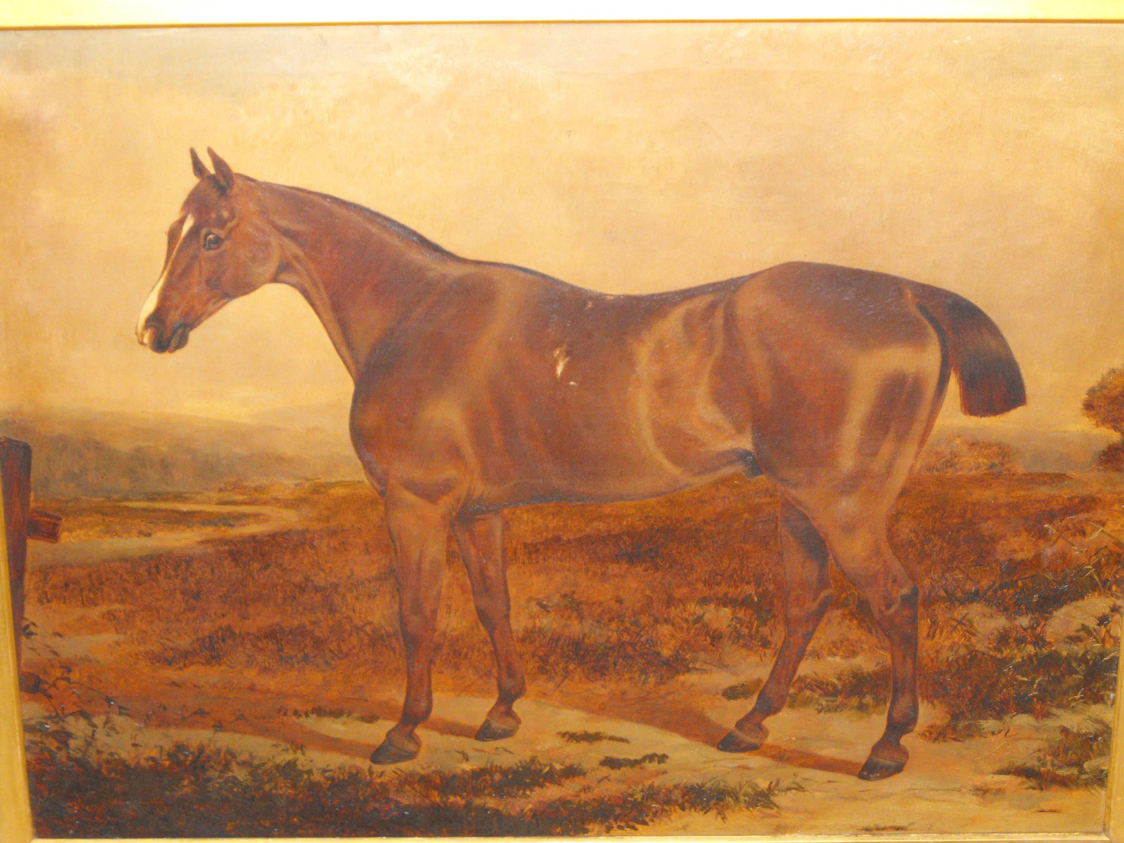 John Frederick Herring Sr. Landscape Painting -  Antique oil painting on canvas of Brown Prize Hunting Horse 19th century