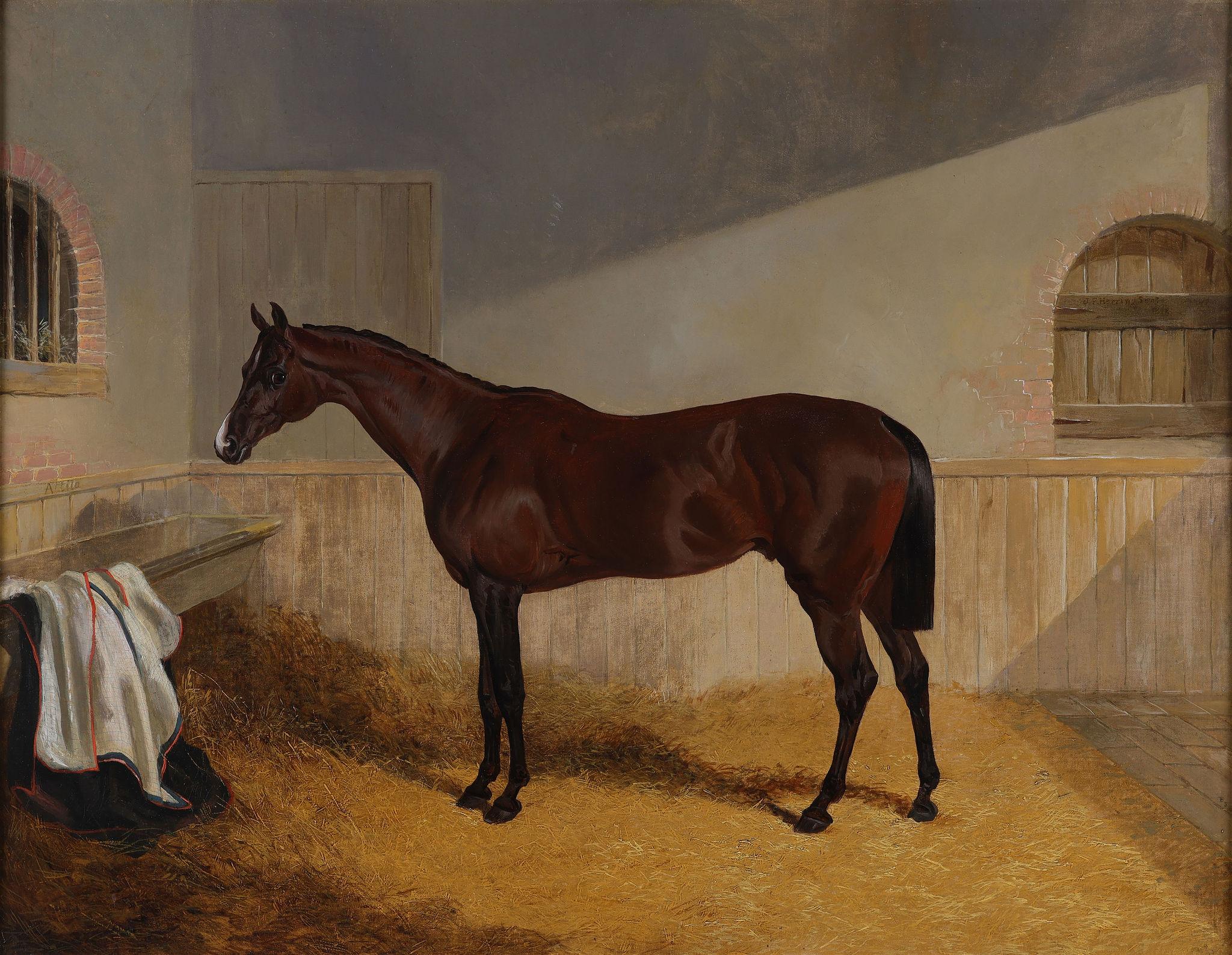 'Attilla' A Chestnut Horse in a Stable - Painting by John Frederick Herring Sr.