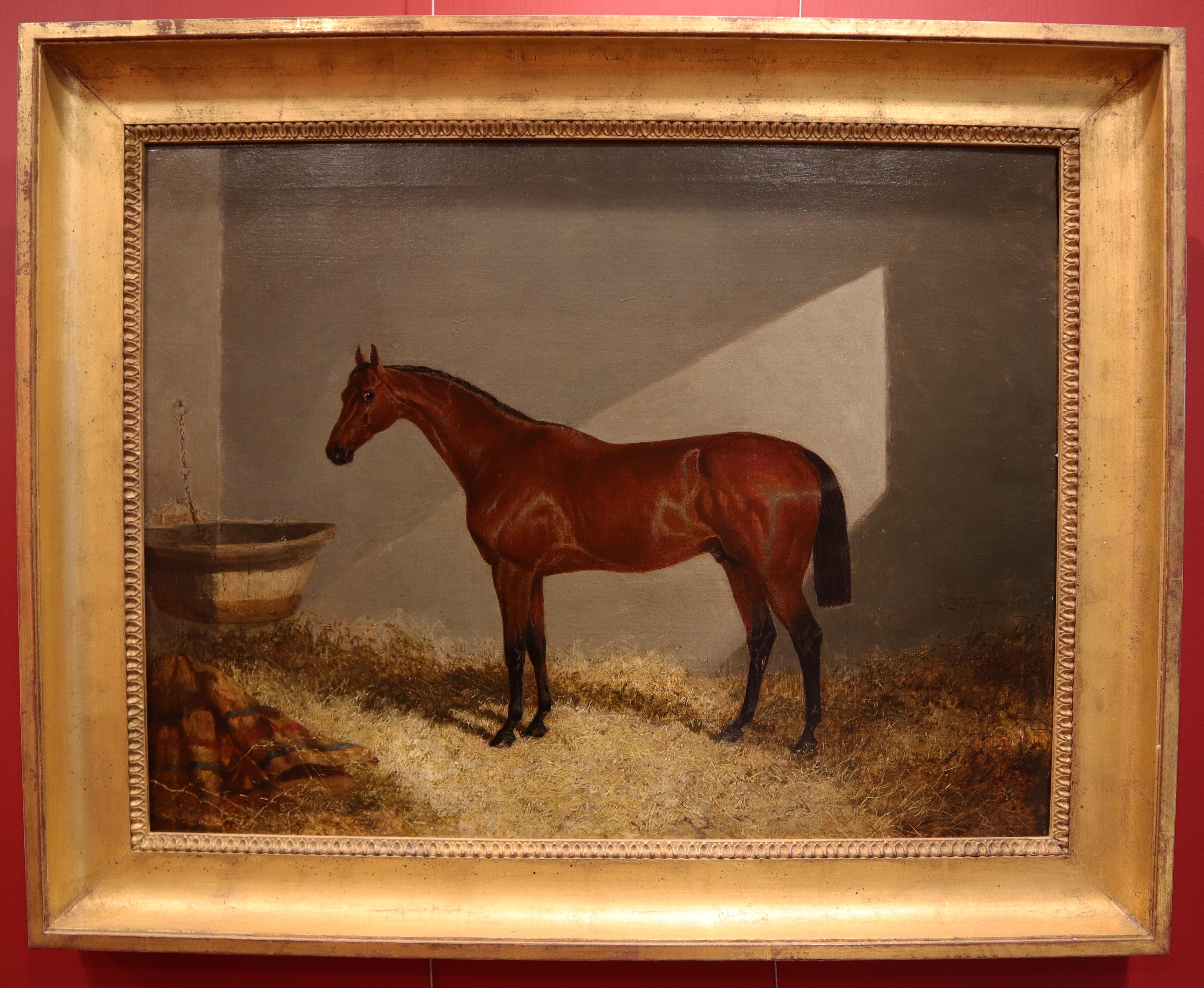 Bloomsbury, Winner of the Derby Oil on canvas - Painting by John Frederick Herring Sr.