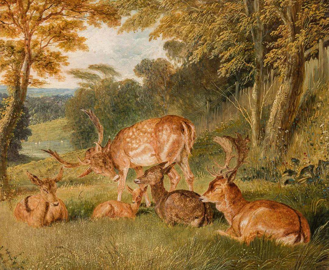 Ciervos en Windsor Park - Painting de John Frederick Herring Sr.