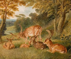 Deer in Windsor Park