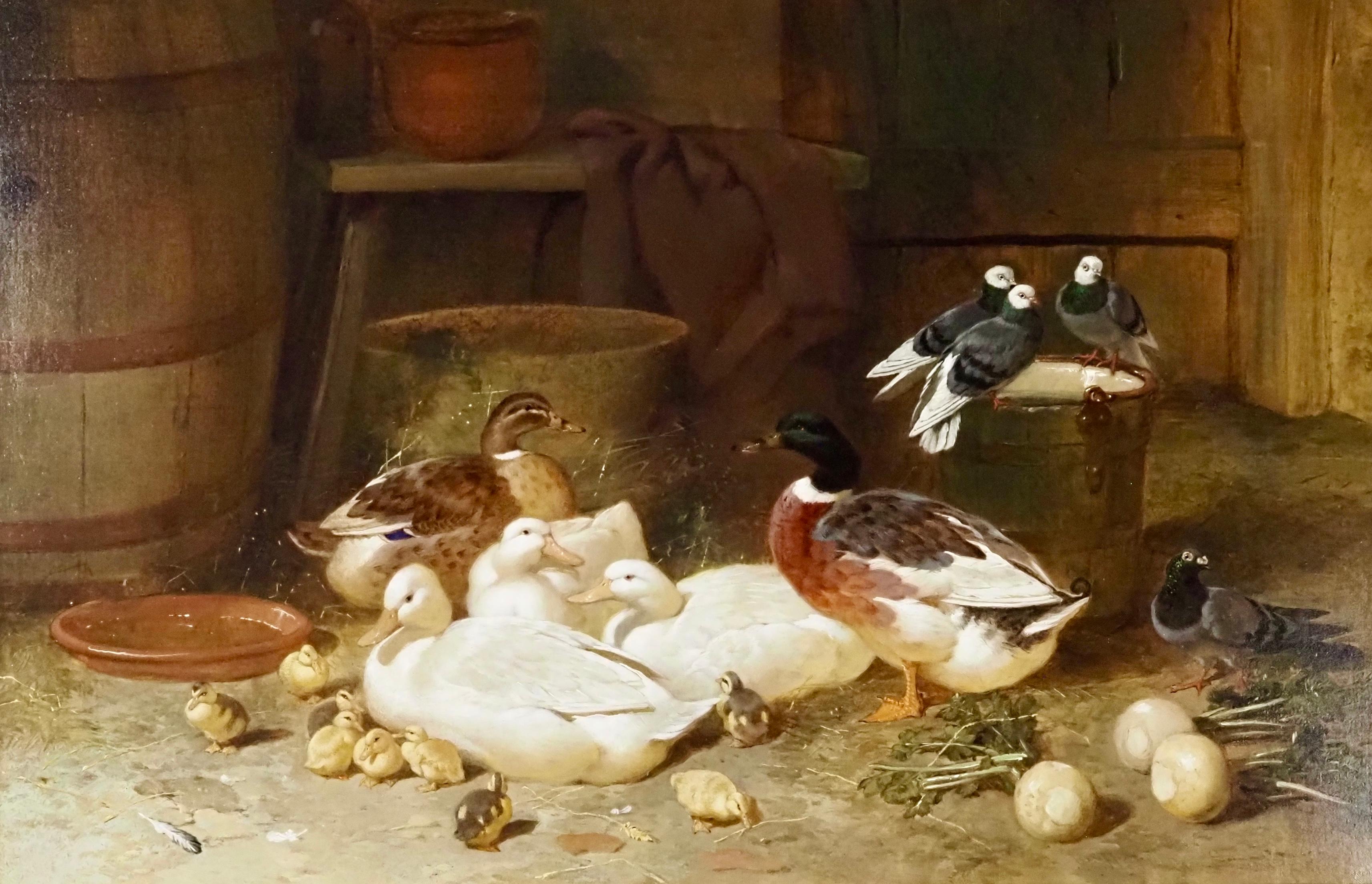Ducks and Pigeons in a Barn Interior - Brown Animal Painting by John Frederick Herring Sr.