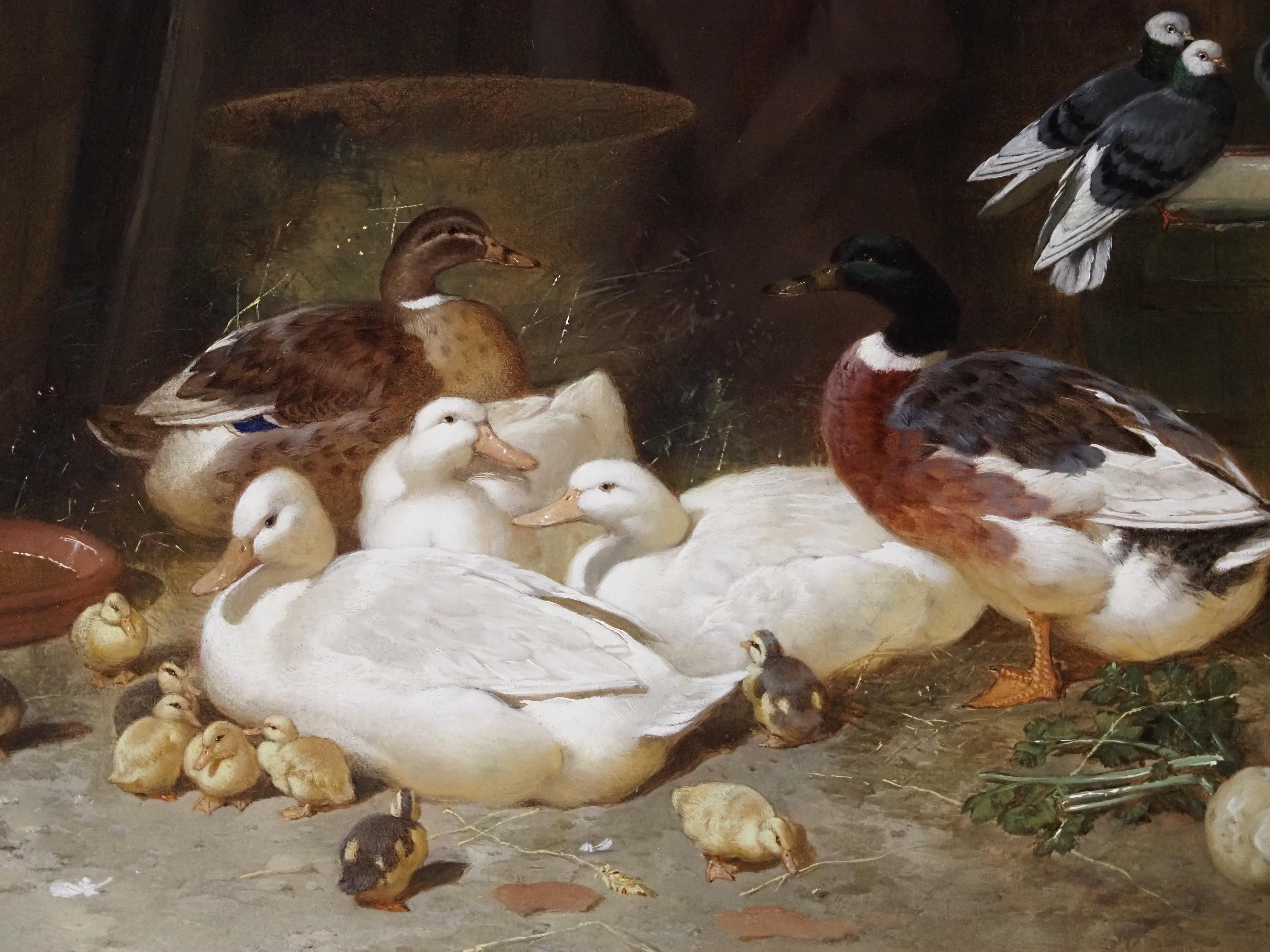 Ducks and Pigeons in a Barn Interior For Sale 1